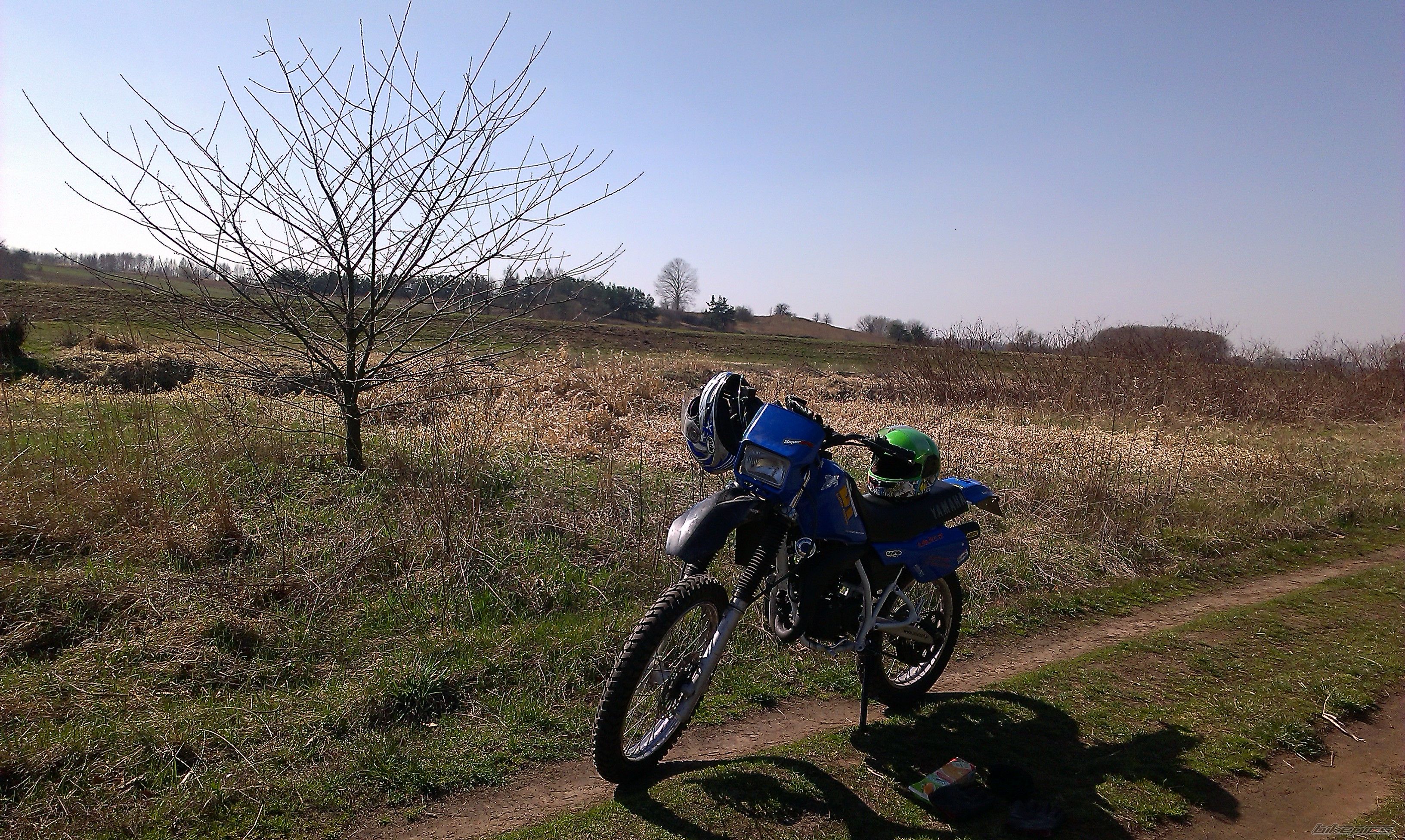 Photo 2660135