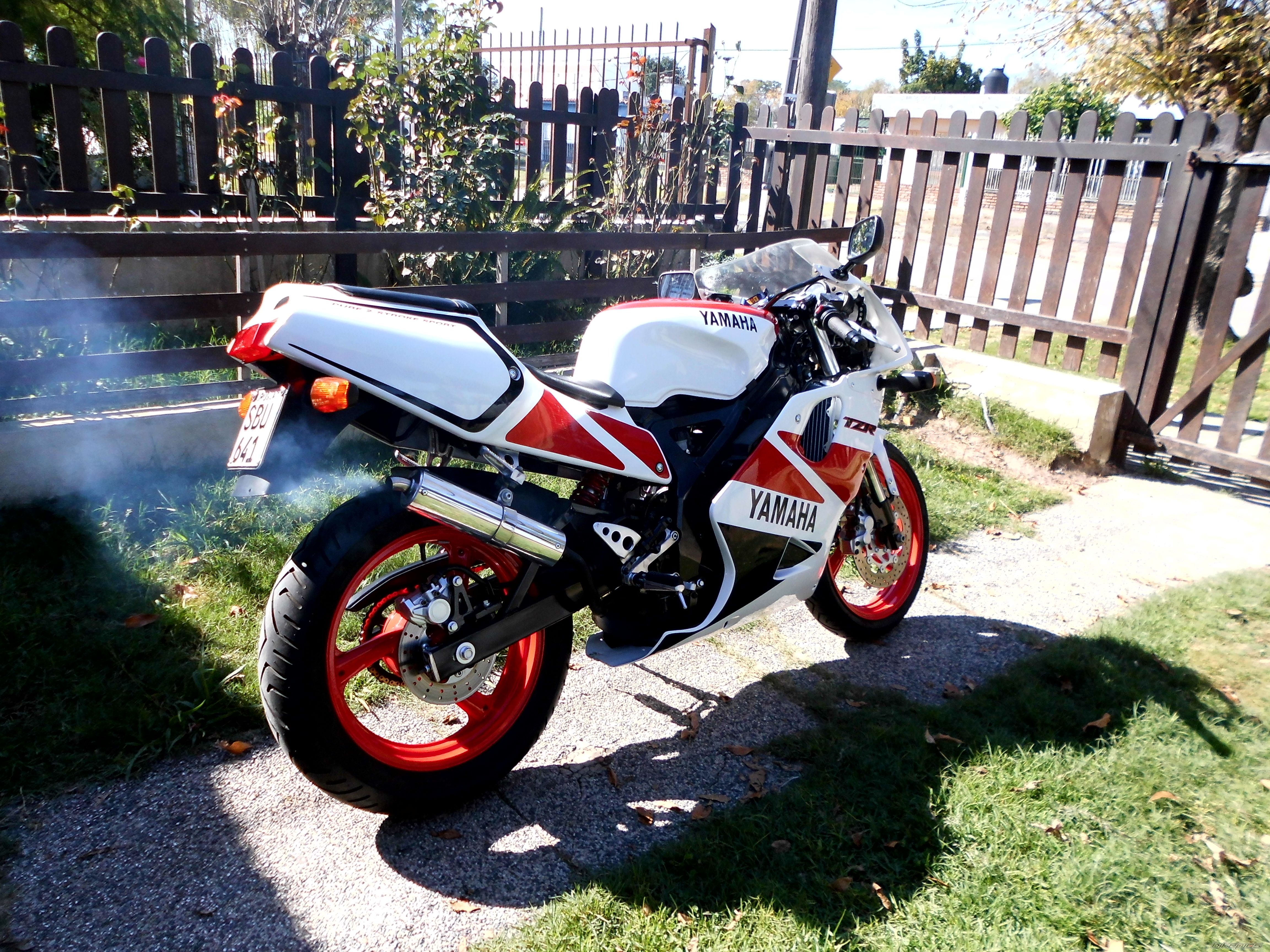 Photo 2661473