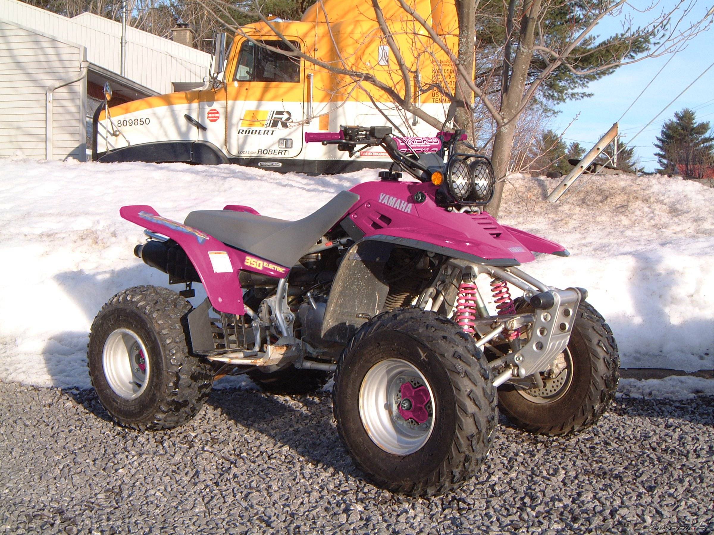 Photo 266183