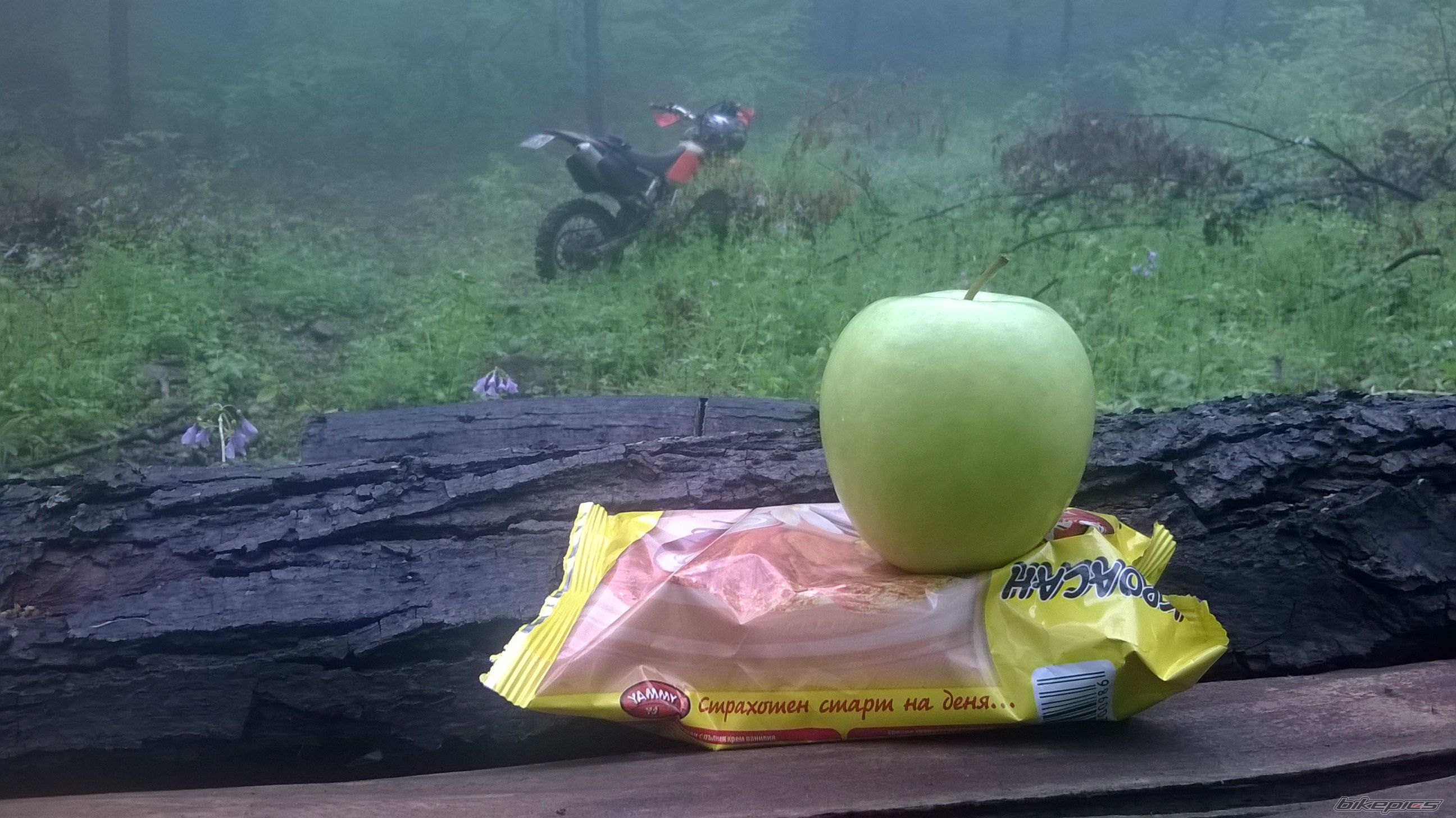 Photo 2662180