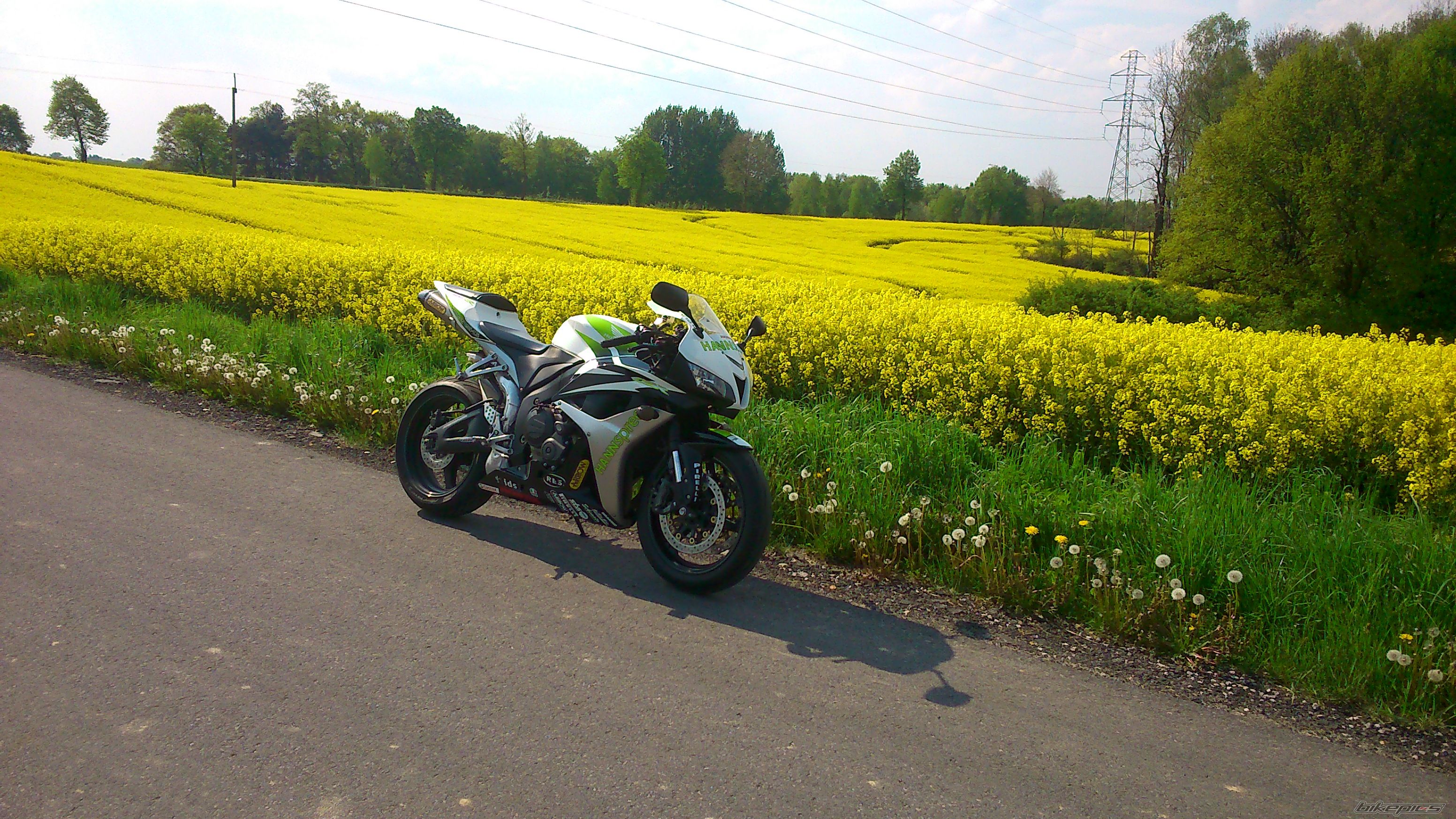 Photo 2665453