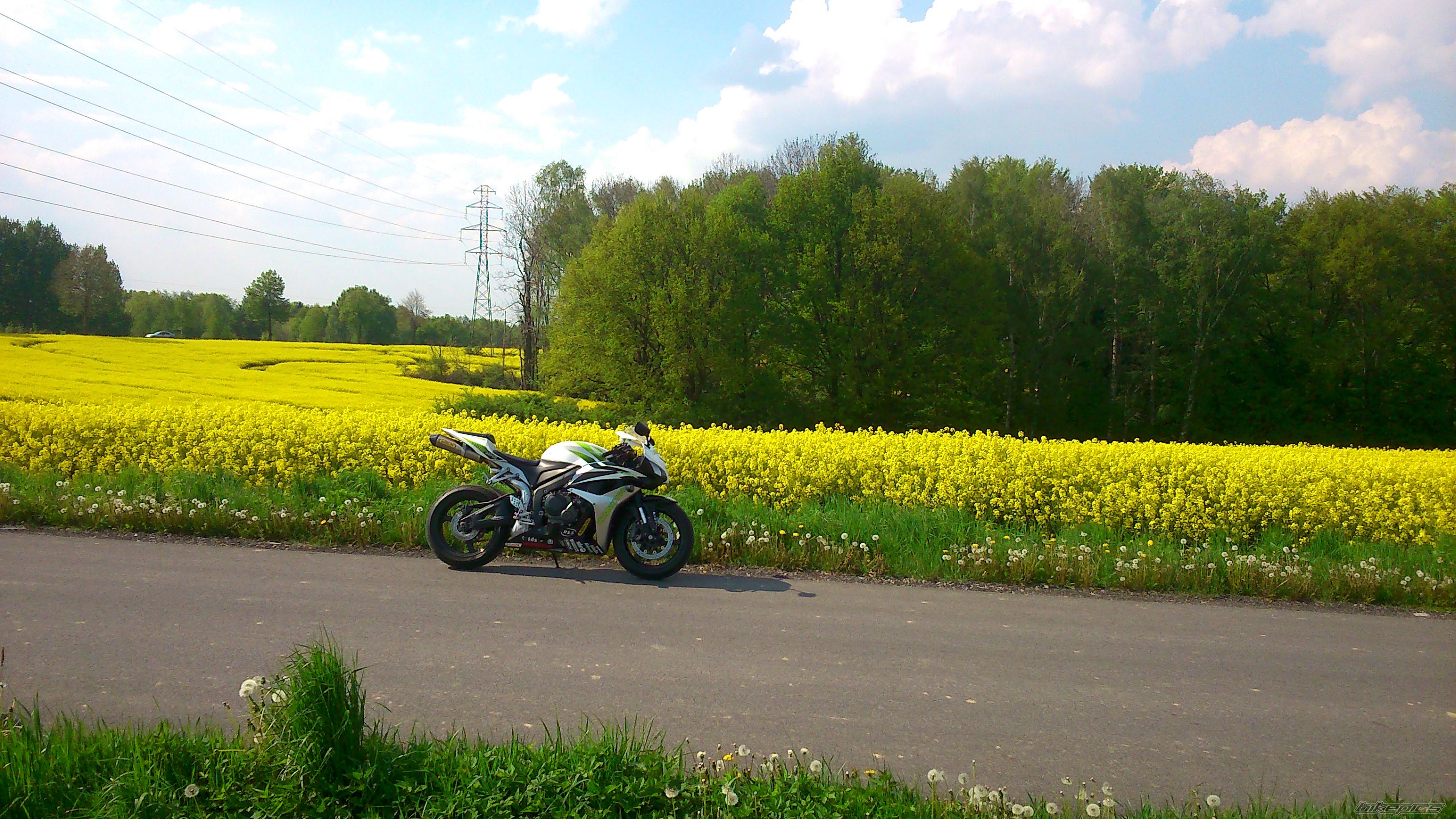 Photo 2665454