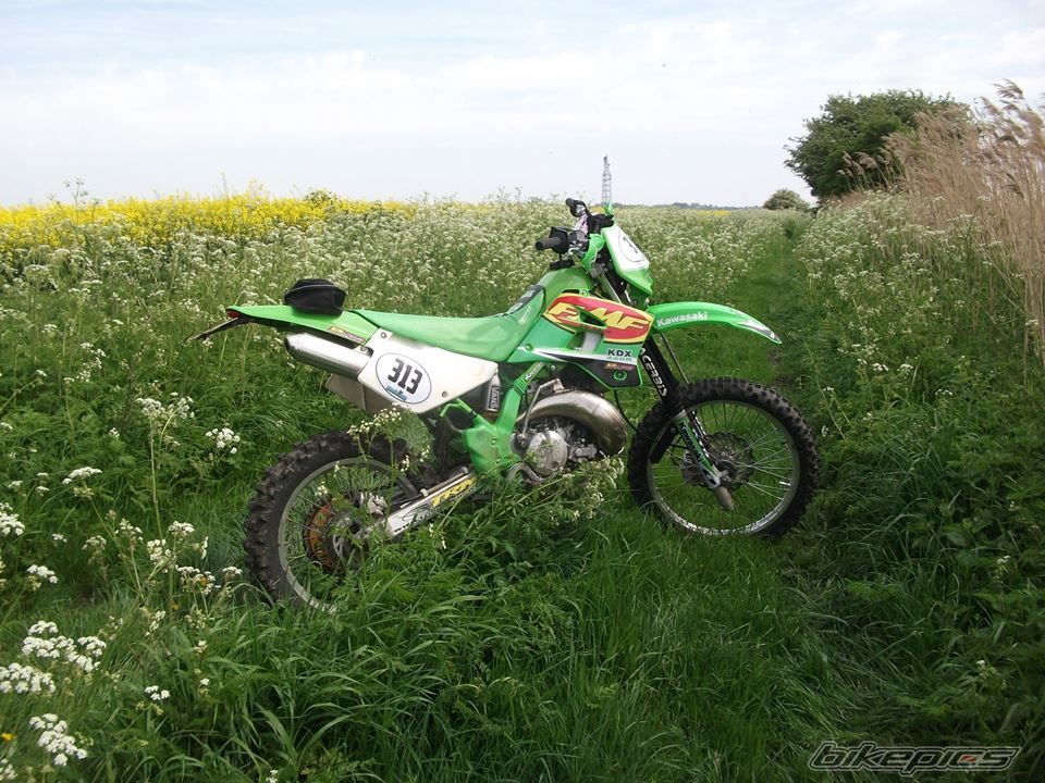 Photo 2667014