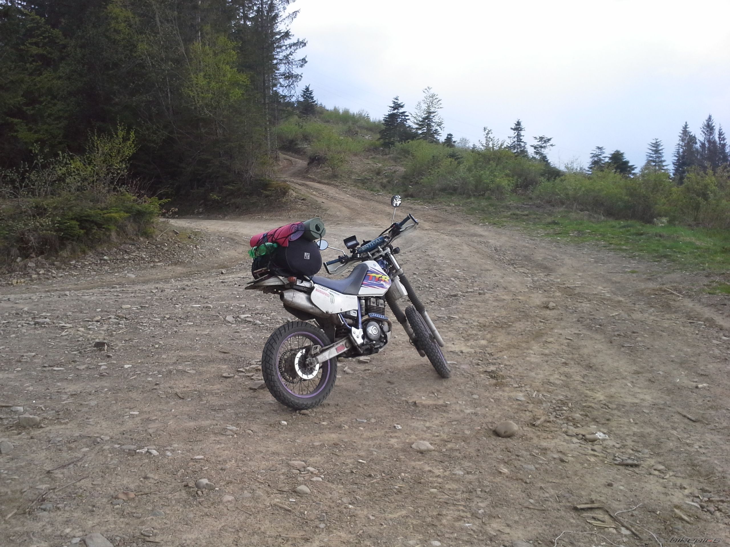 Photo 2667019