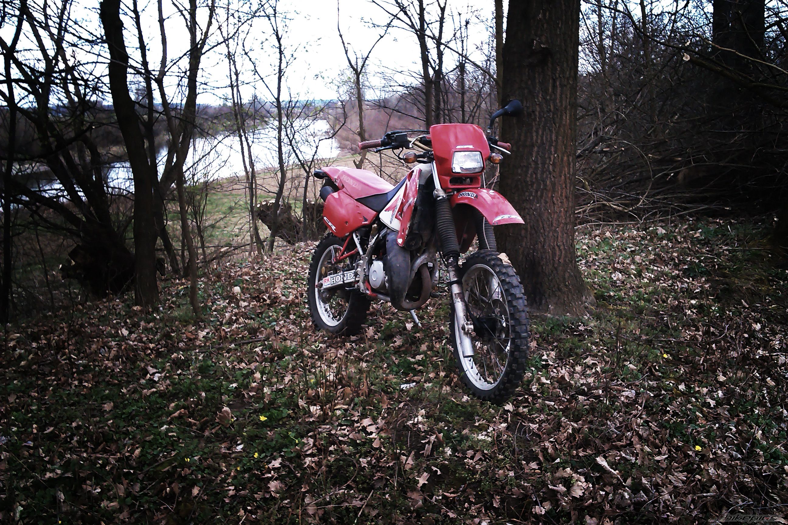 Photo 2667399