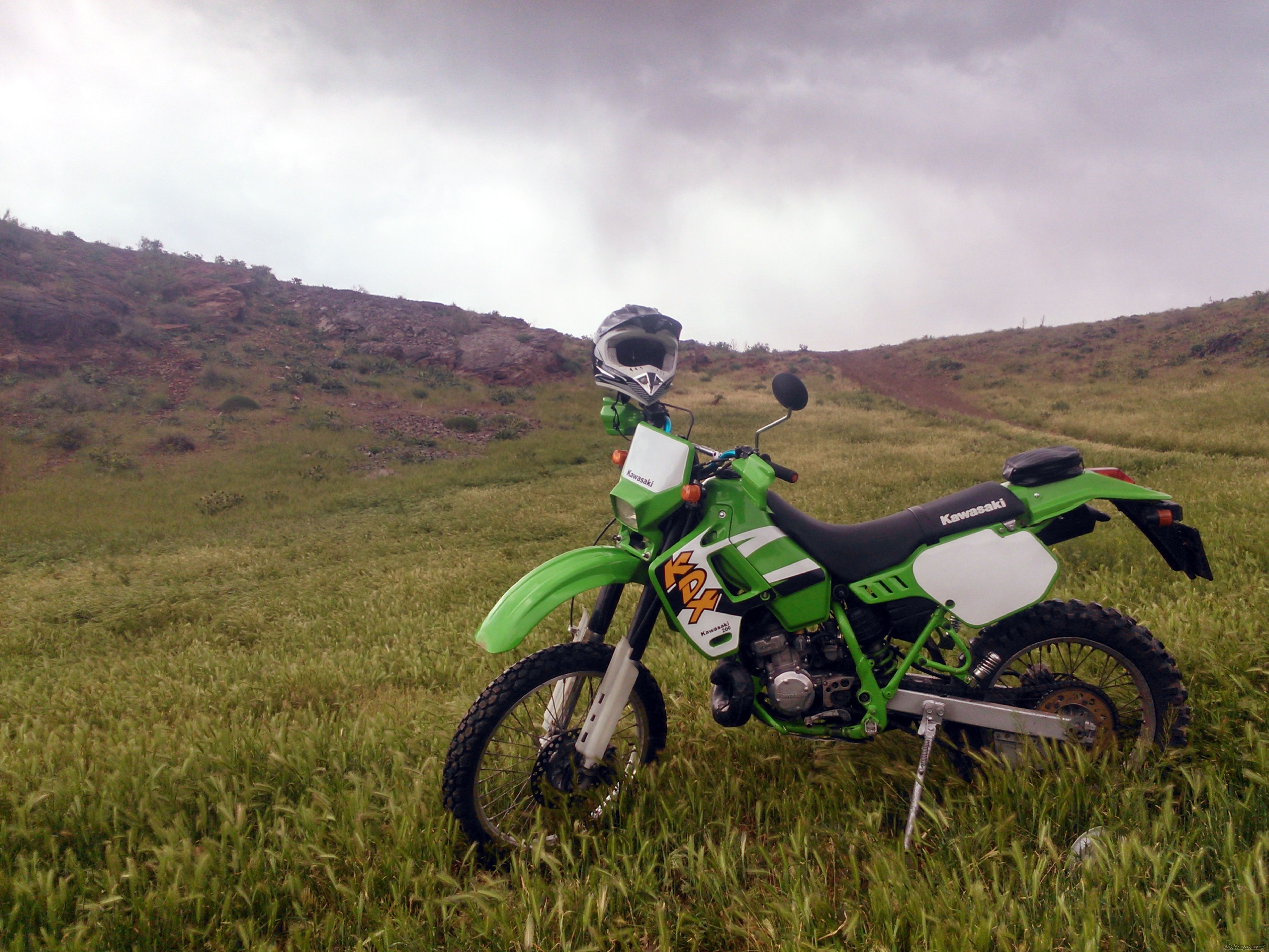 Photo 2669264