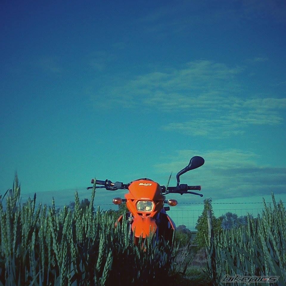 Photo 2670330