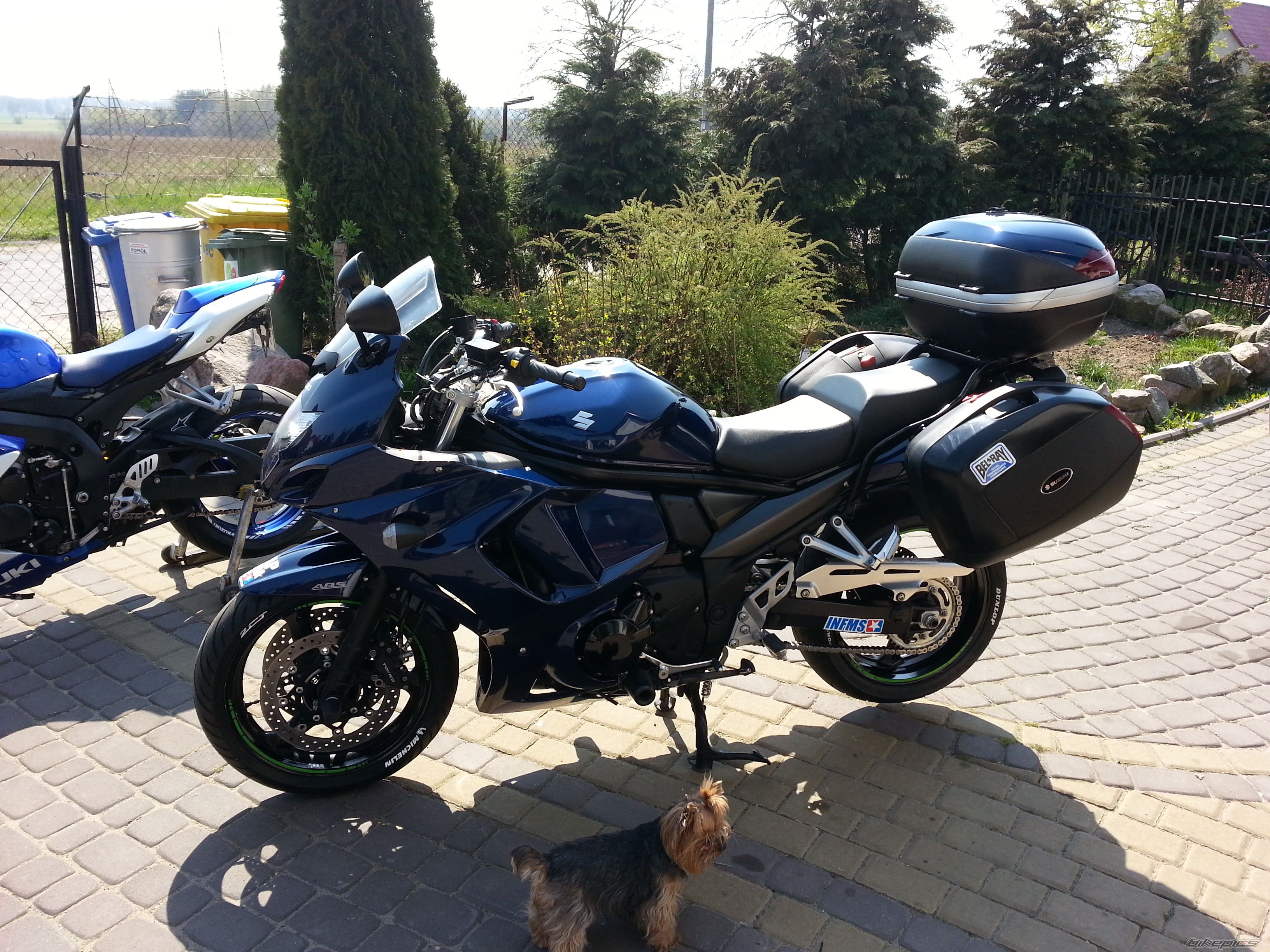 Photo 2671614