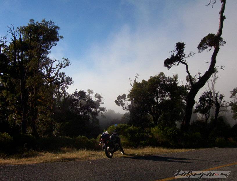 Bike Photo 267463