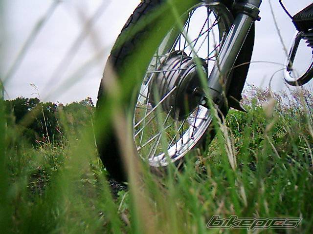 Photo 267581
