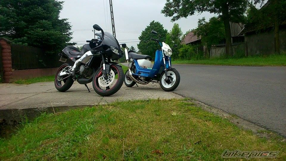 Photo 2676154