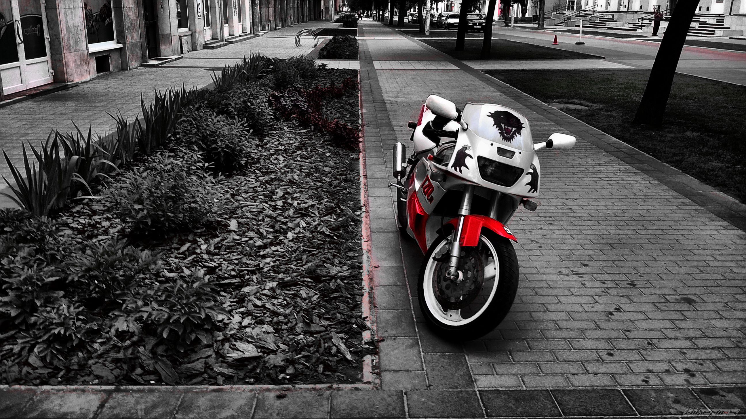 Photo 2678667