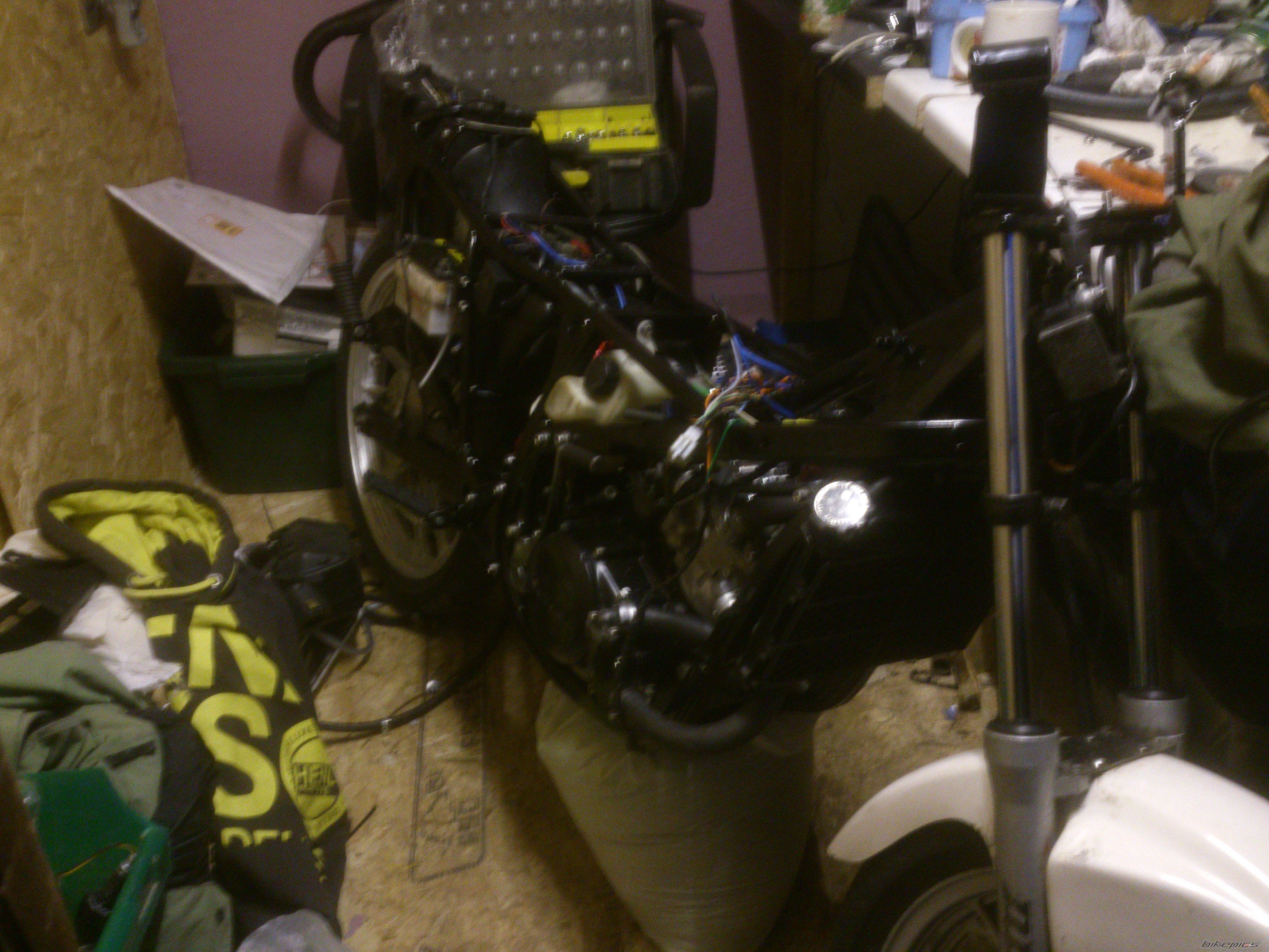 Photo 2679291