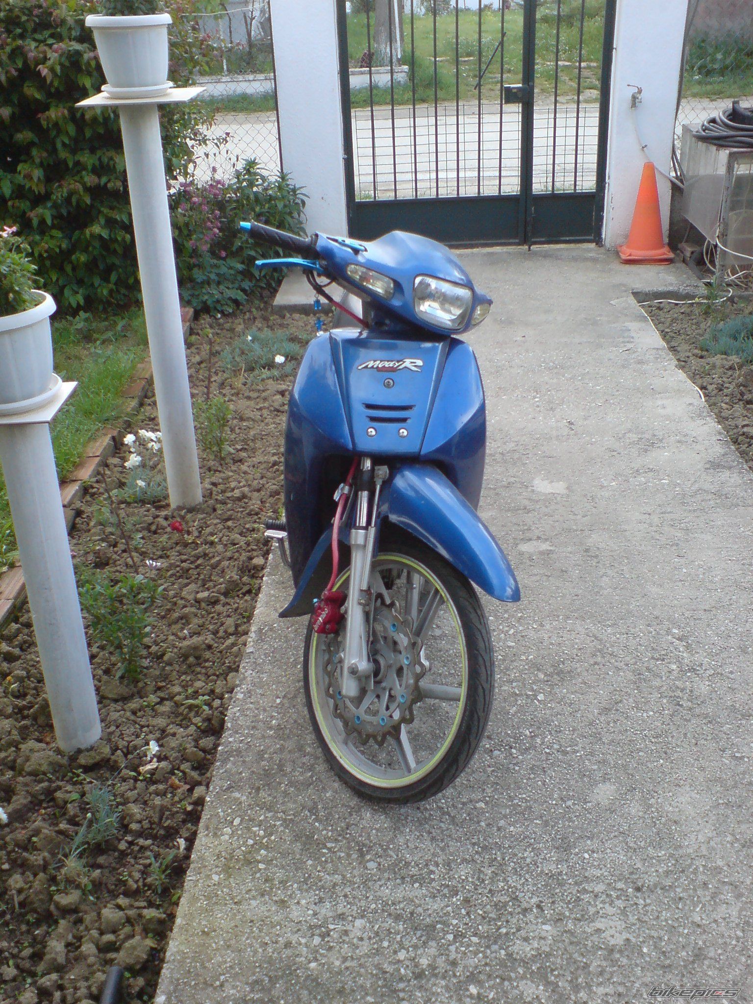 Photo 2679364