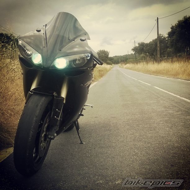 Photo 2679491