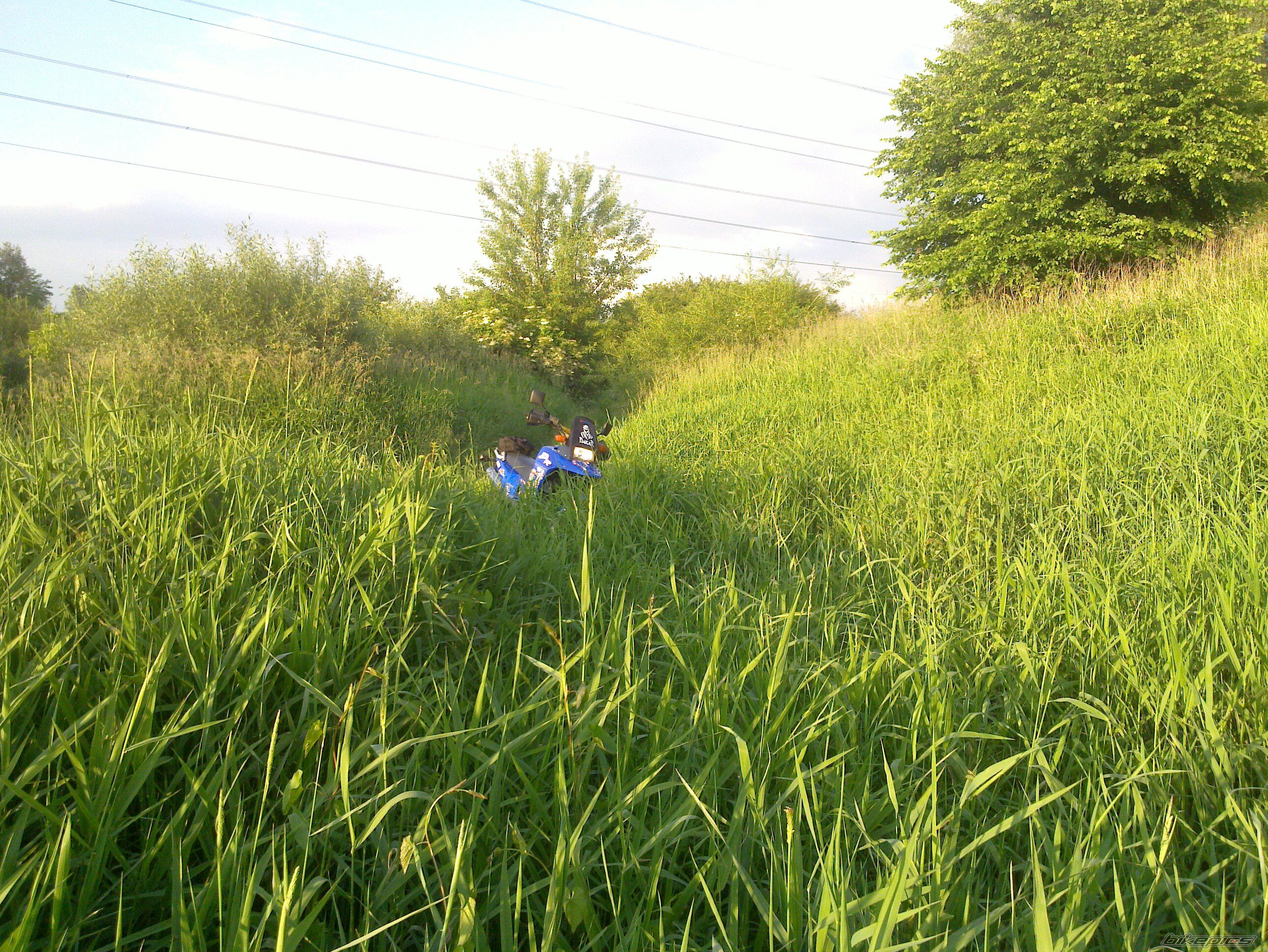 Photo 2682399