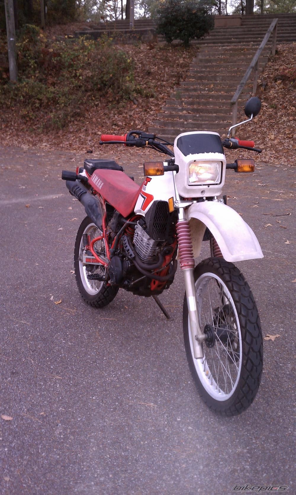 Photo 2684376