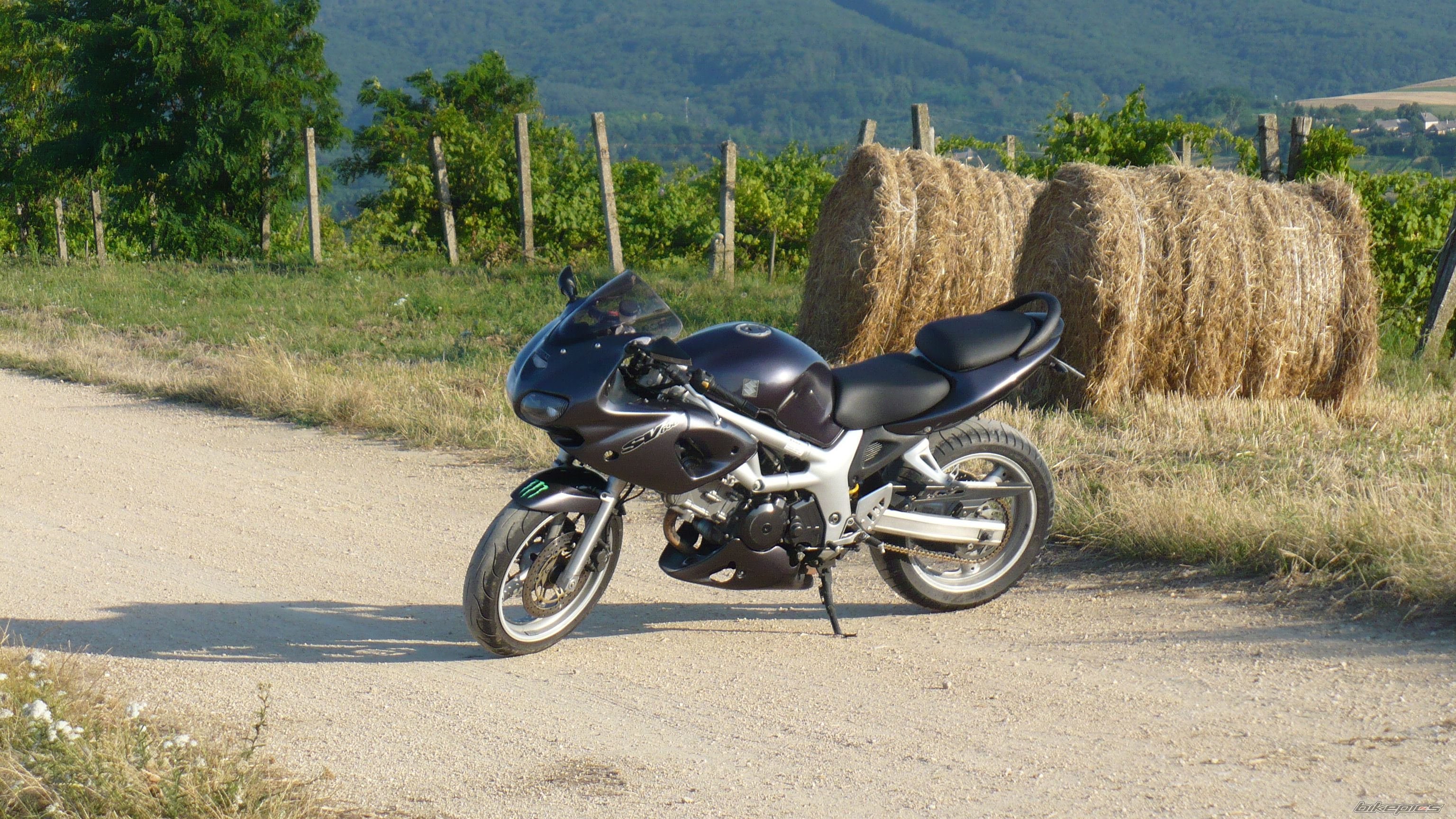 Photo 2684617