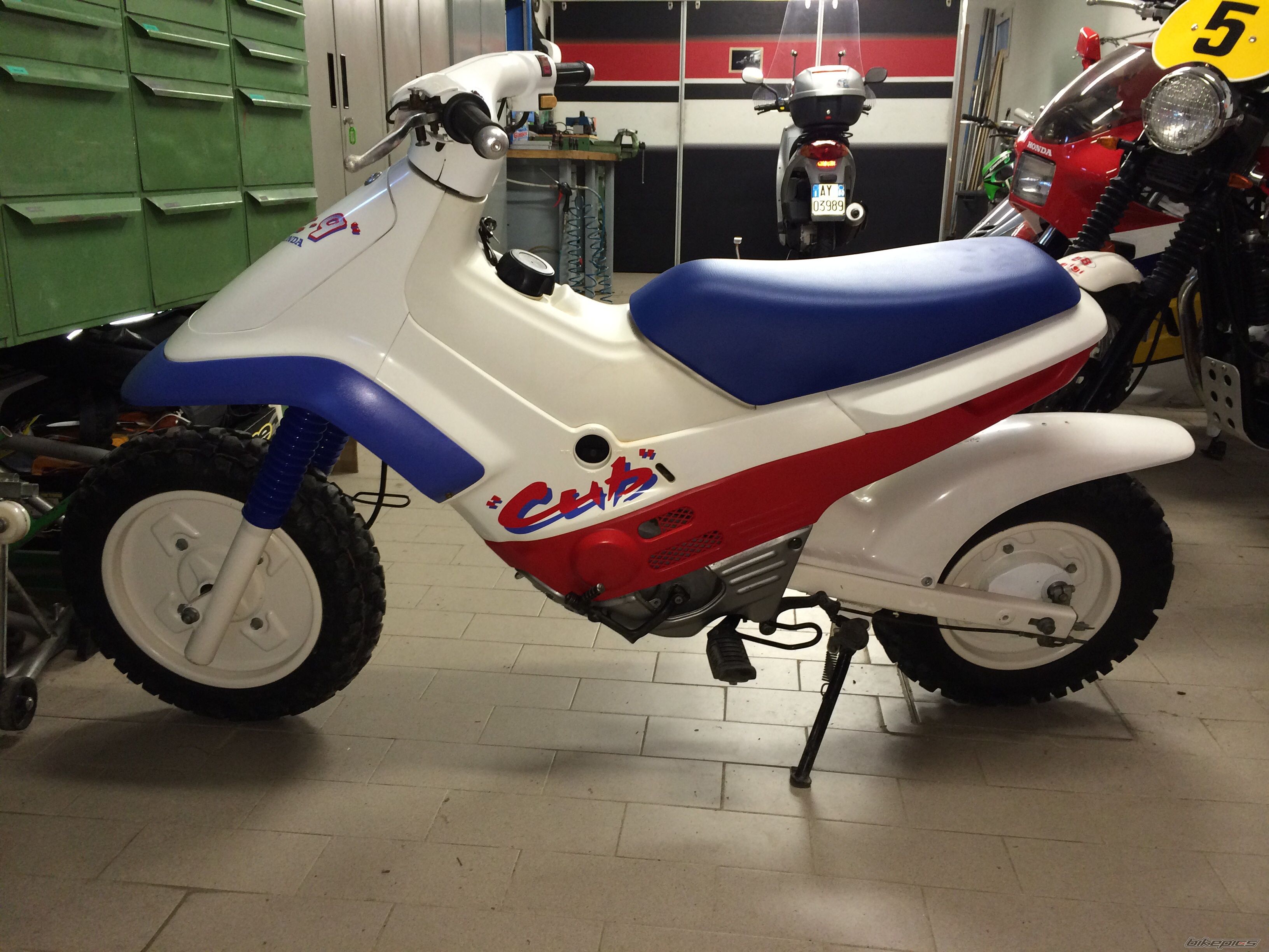 Photo 2685640