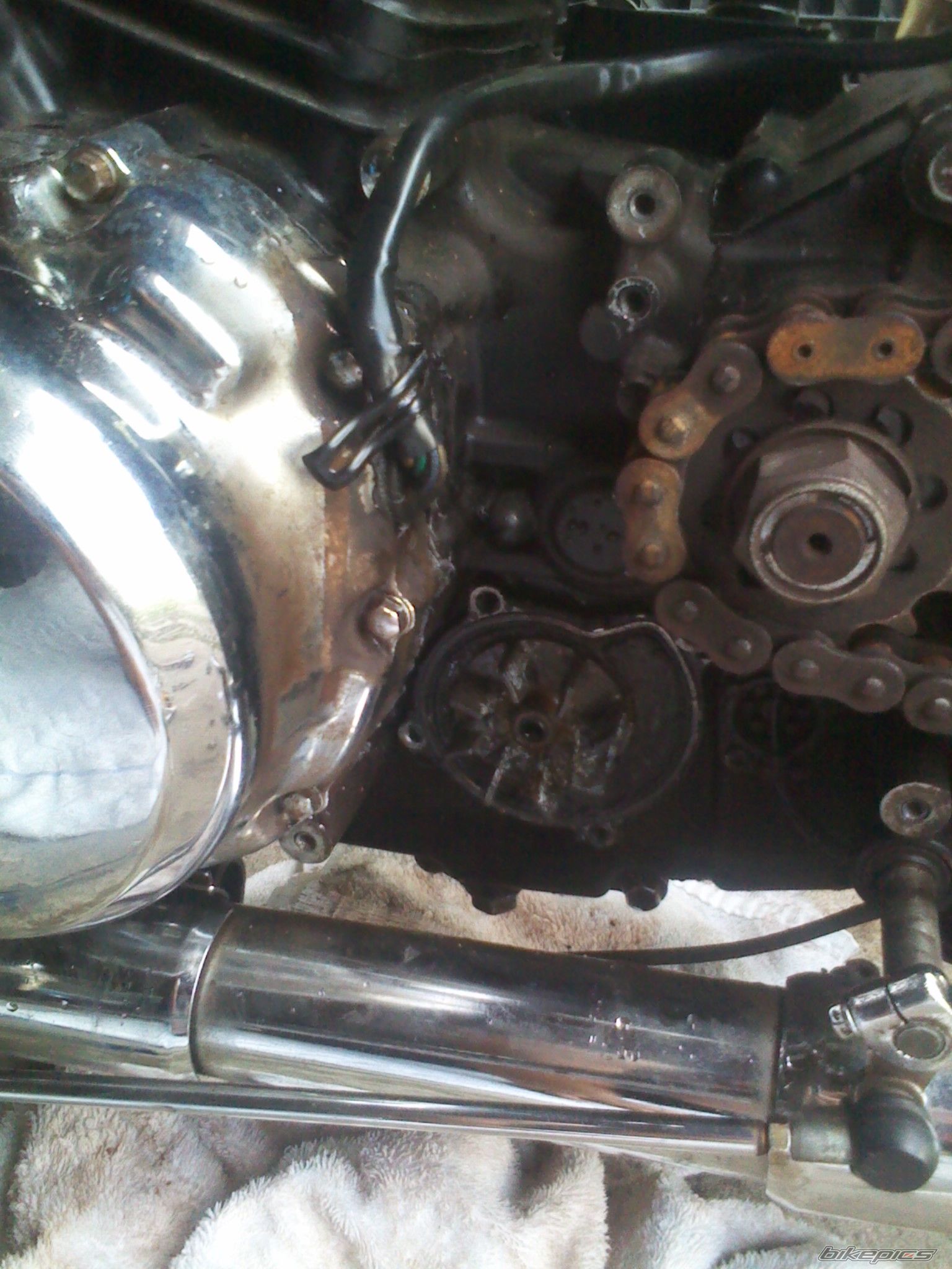 Photo 2687230