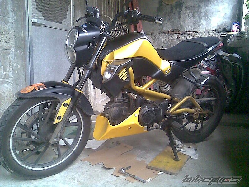 Photo 2688005