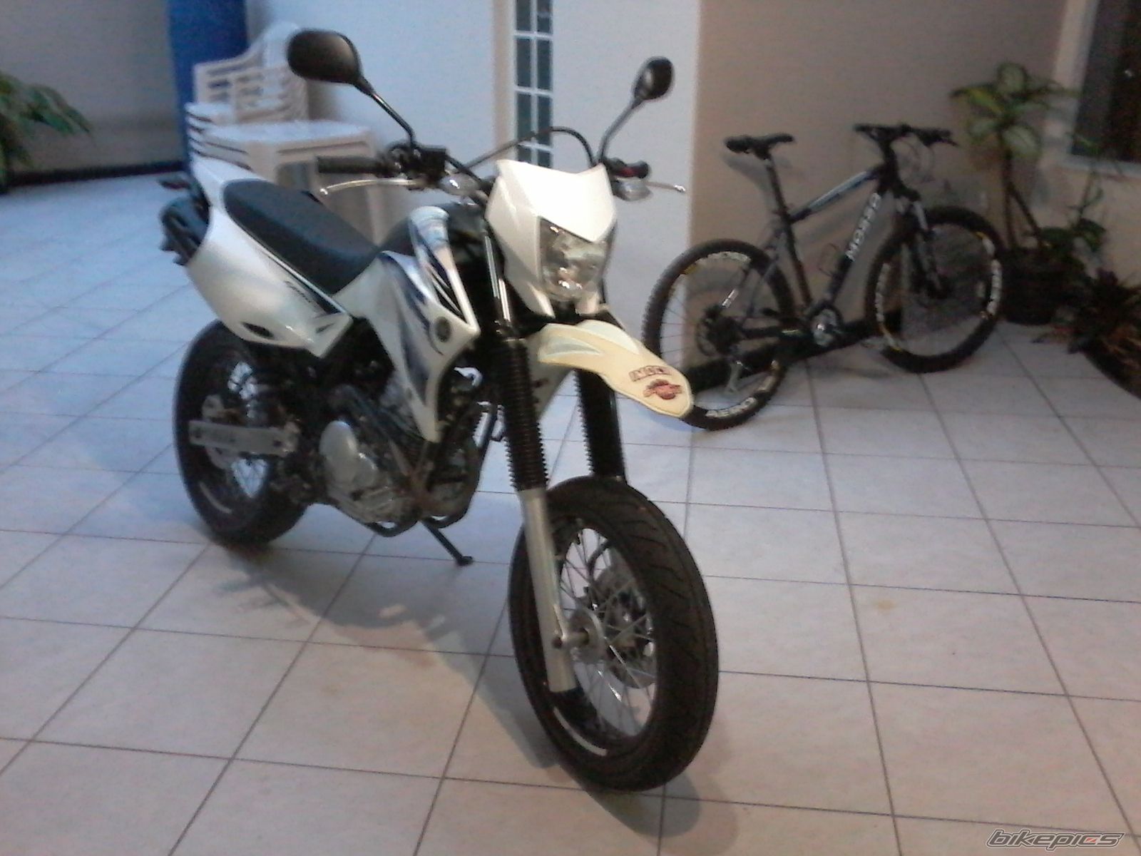 Photo 2692034