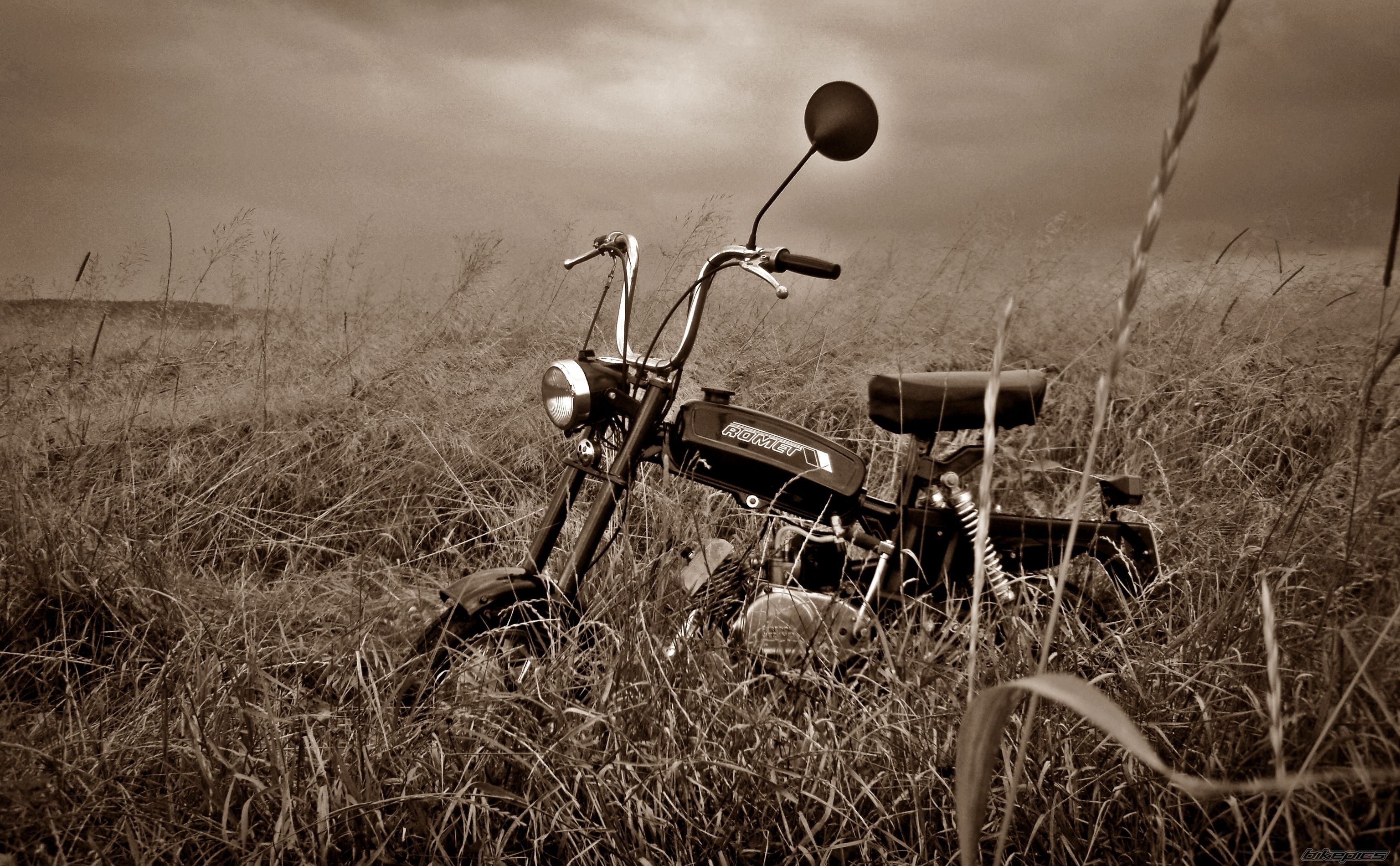 Photo 2692118