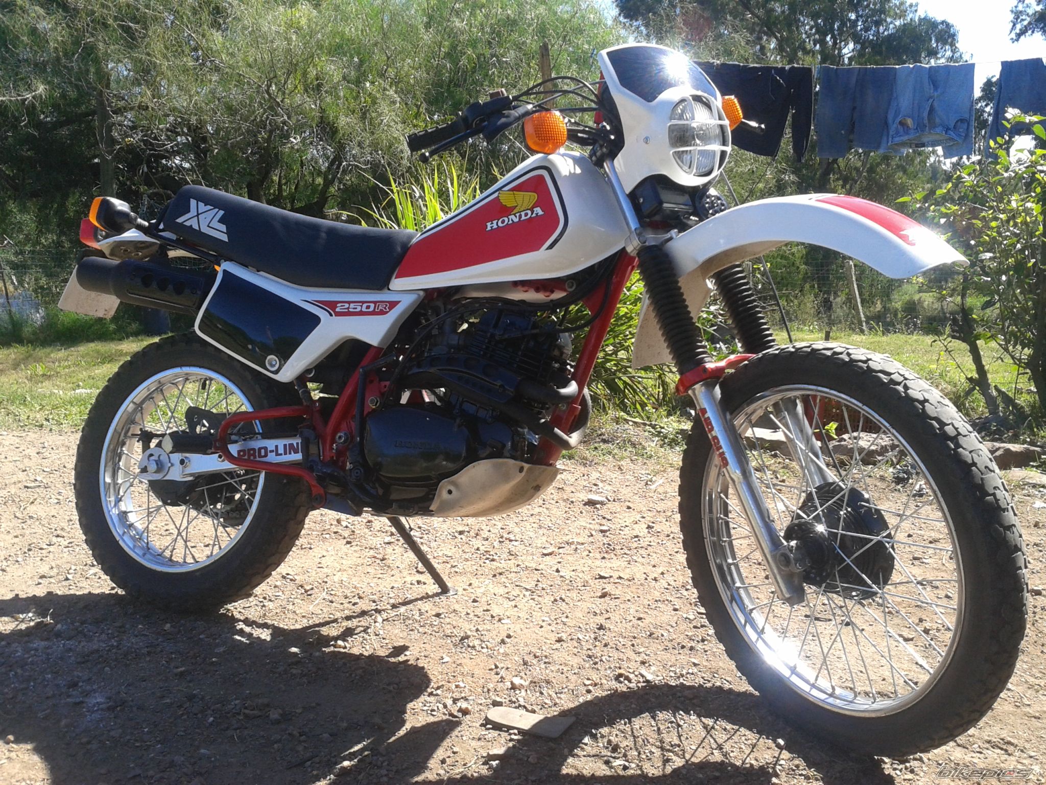 Photo 2692665