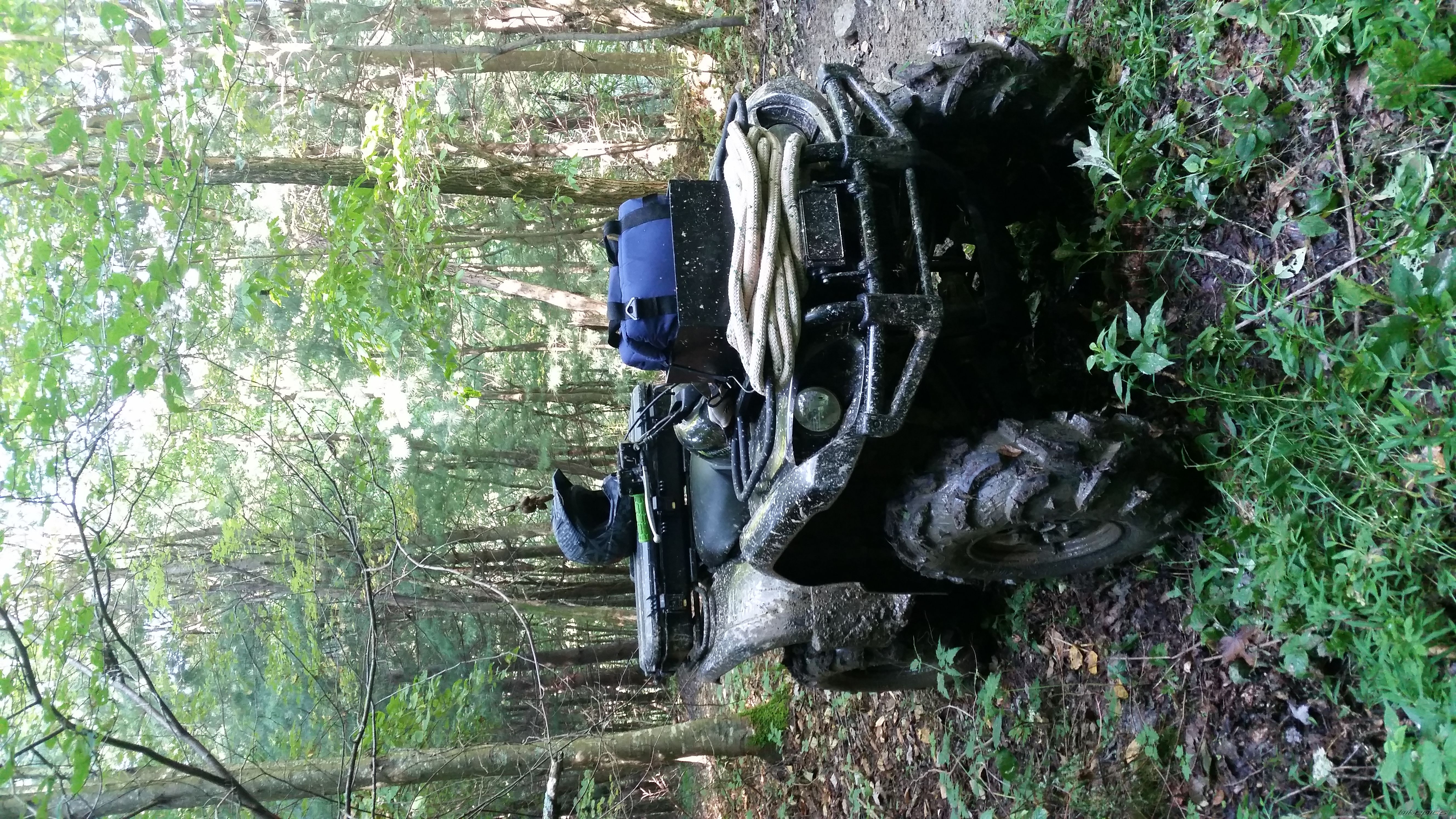 Photo 2695420