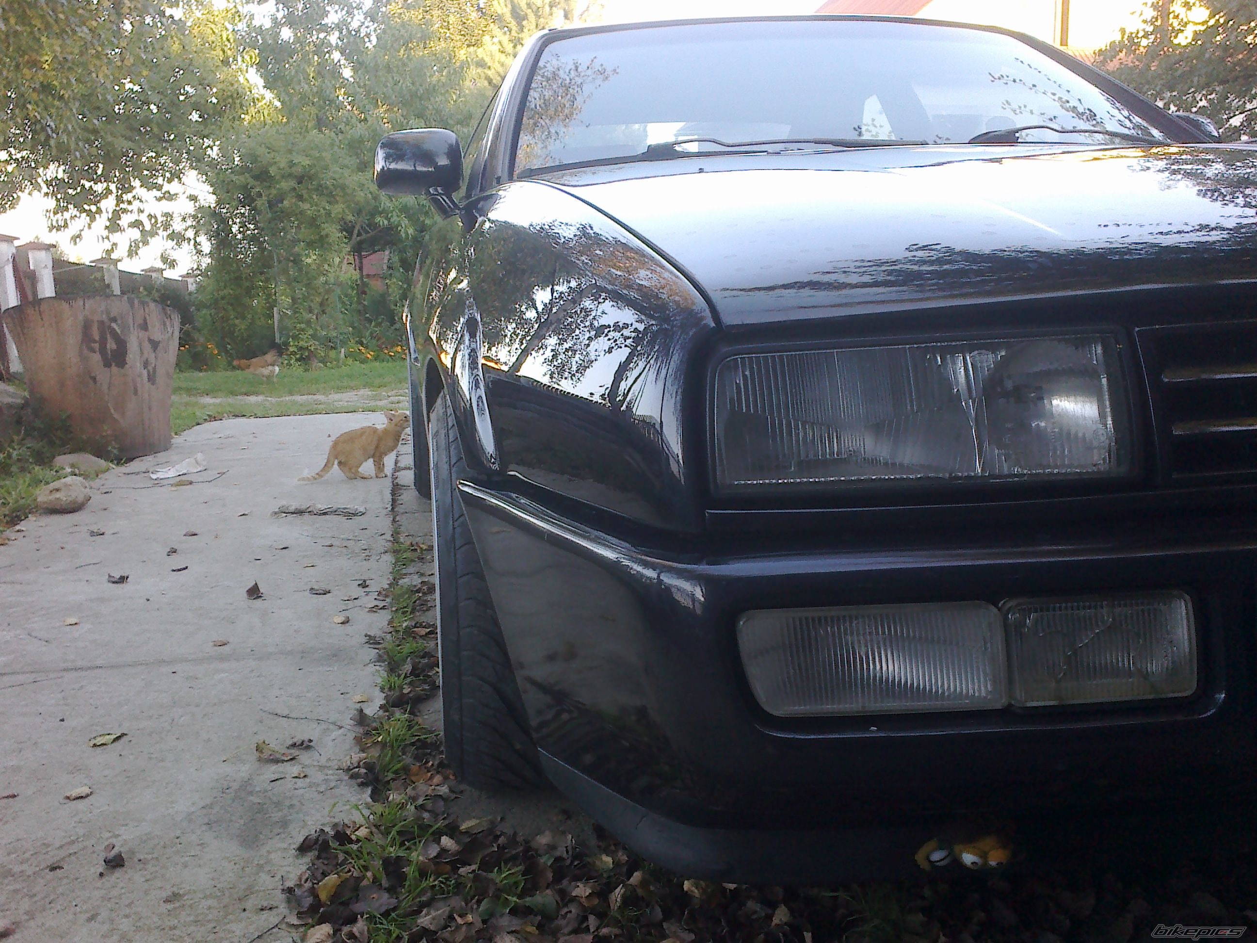 Photo 2696933