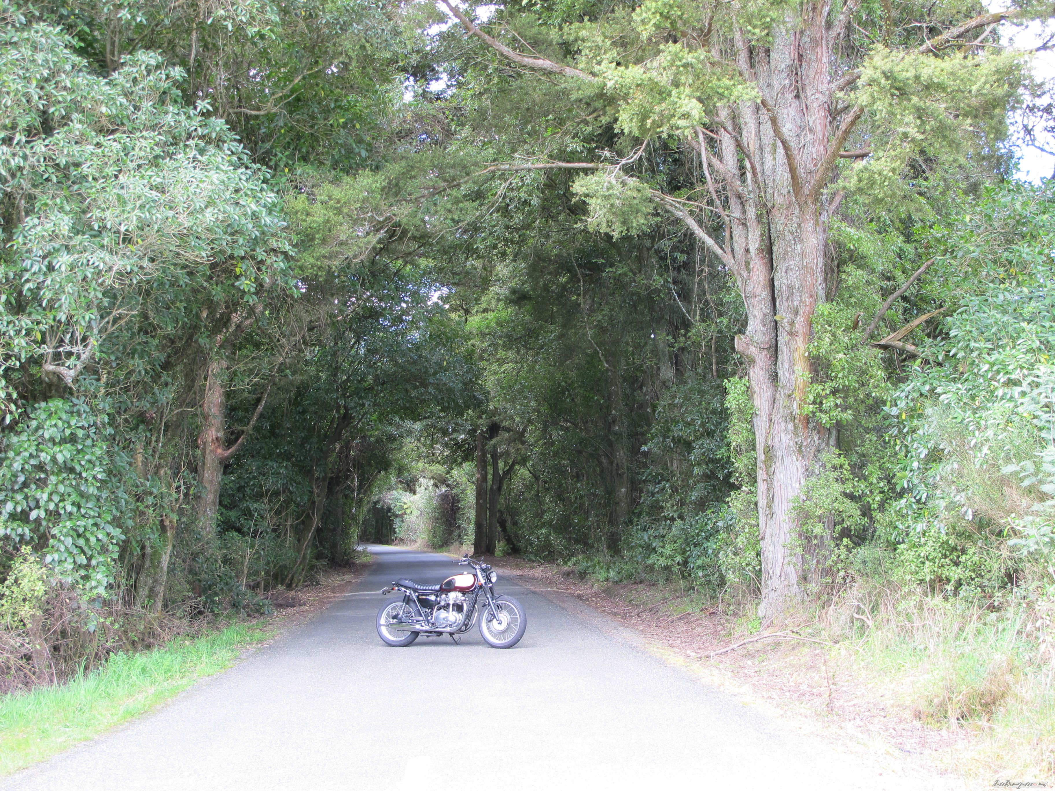 Photo 2697334