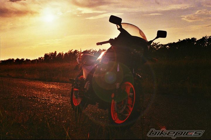Photo 2698233