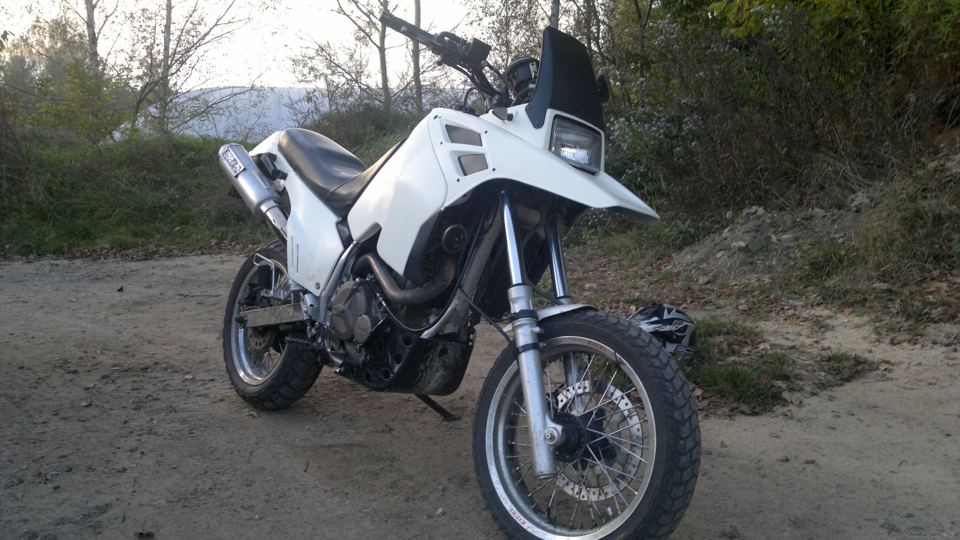 Photo 2702243