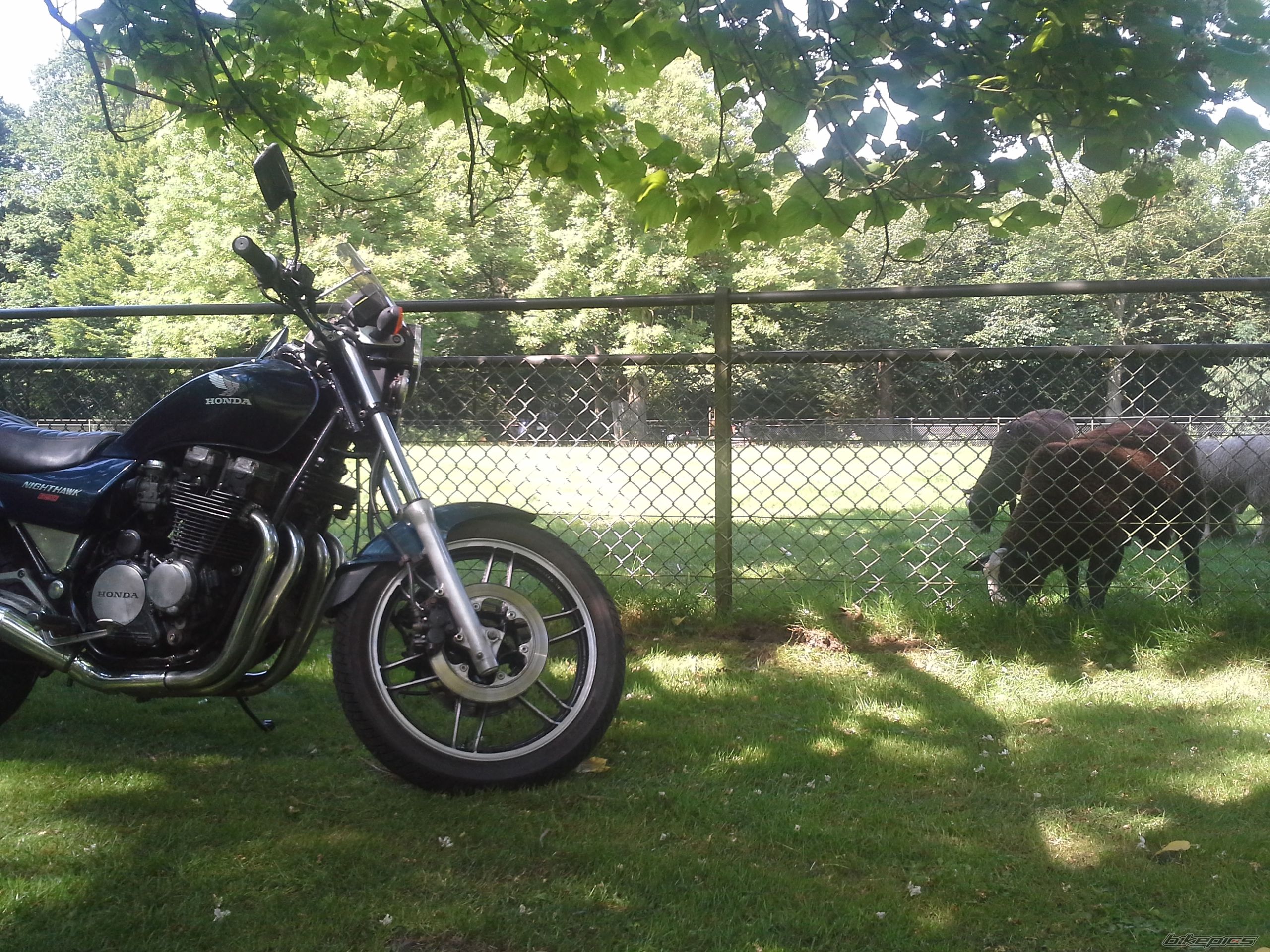 Bike Photo 2702330
