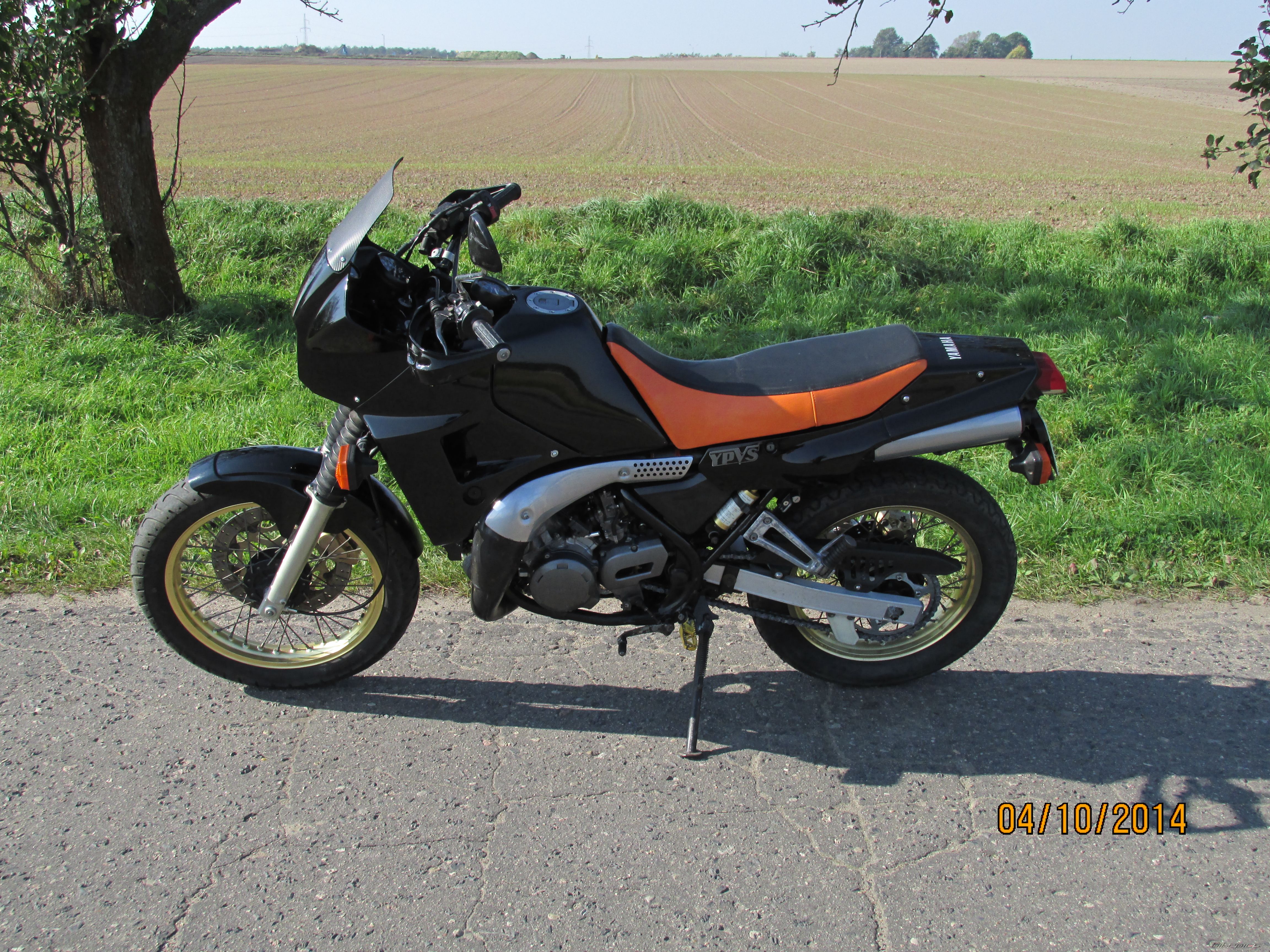 Photo 2704010