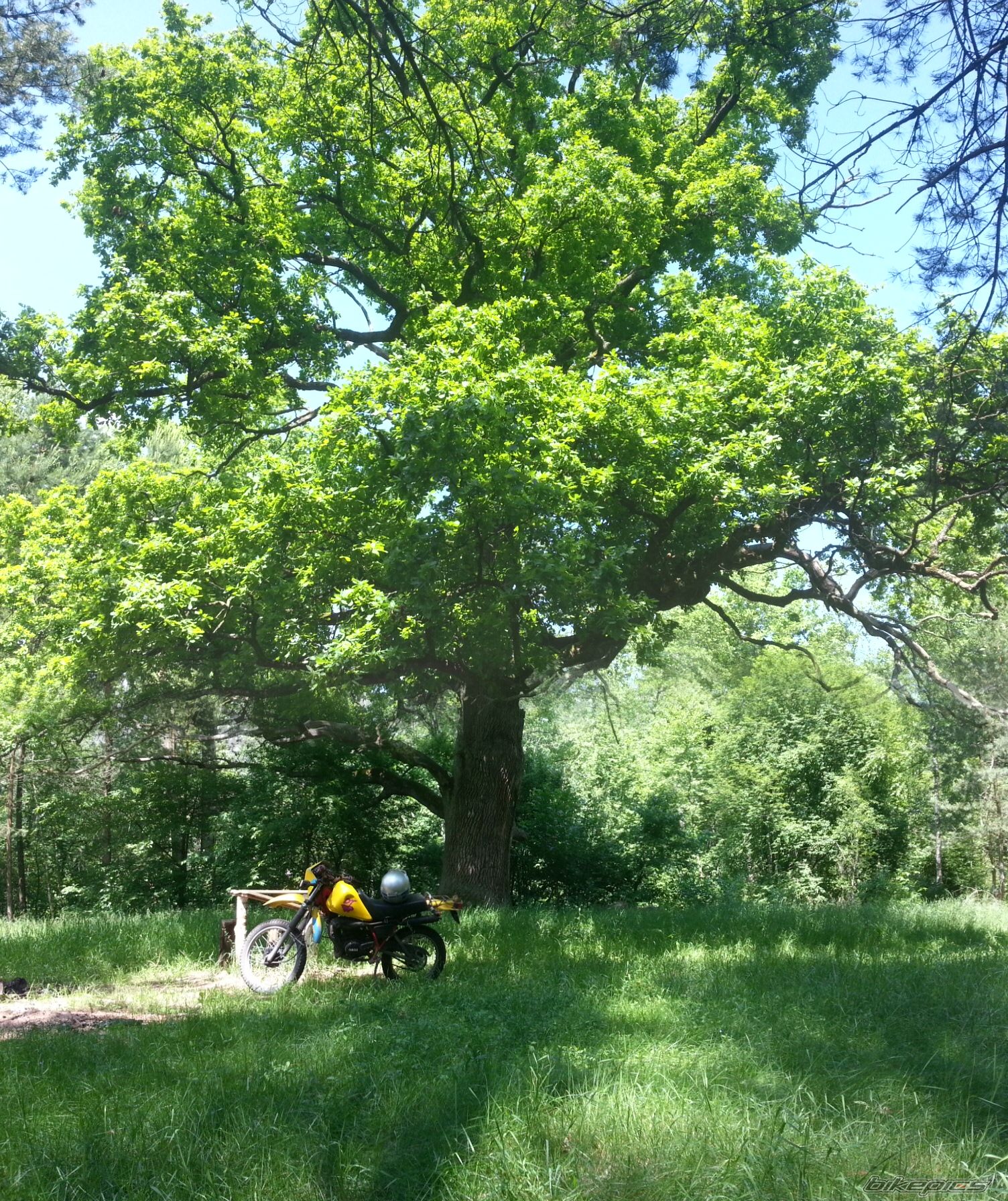Bike Photo 2704194