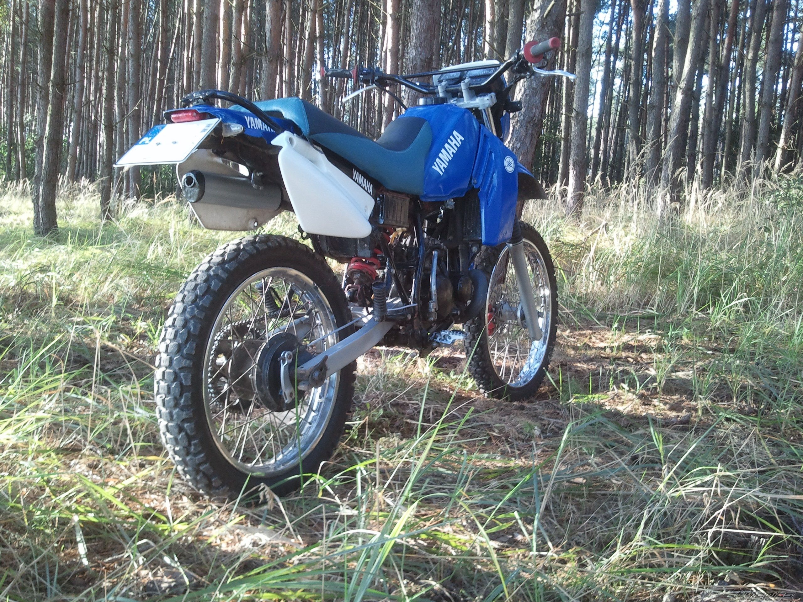 Photo 2705251