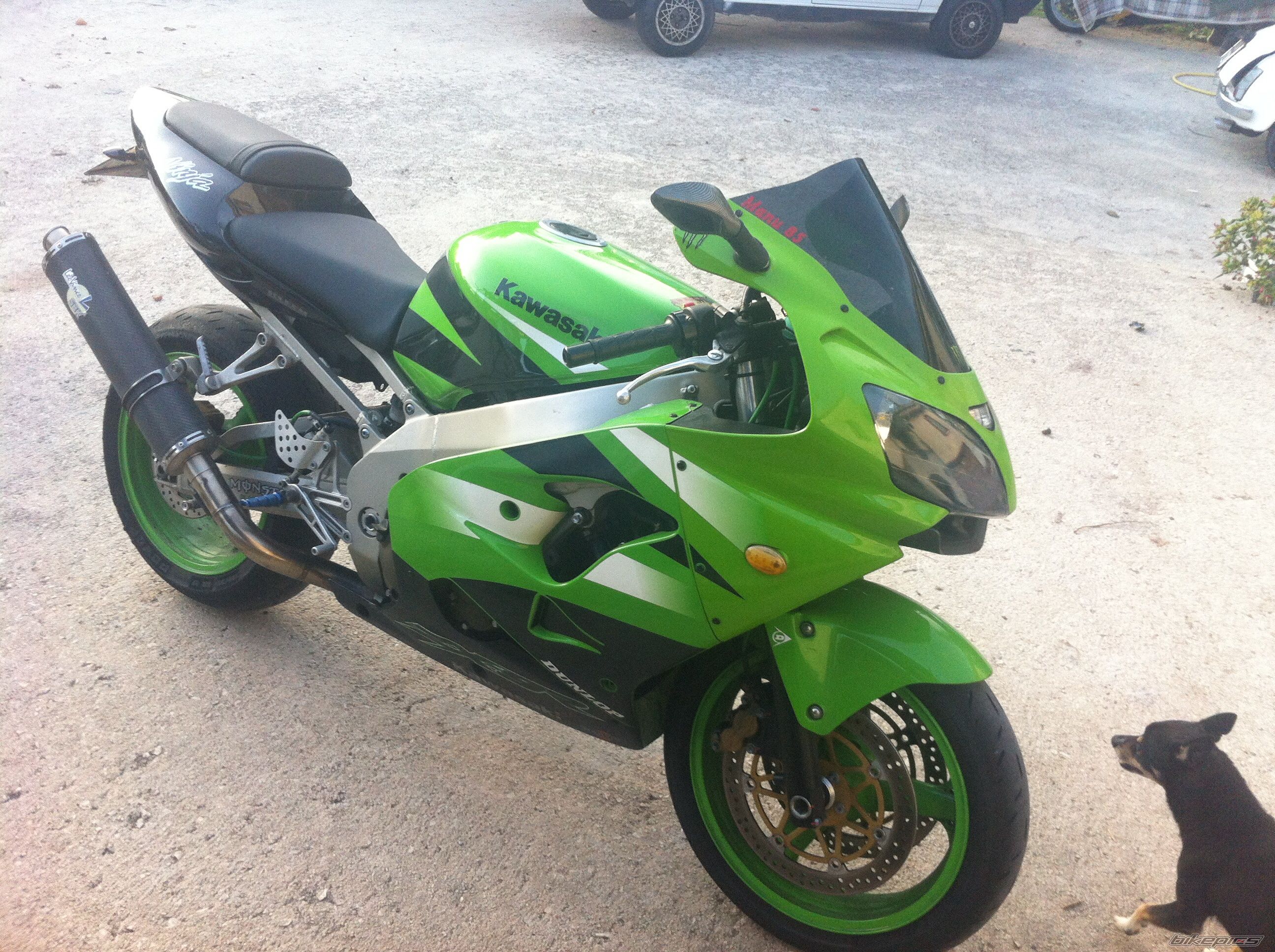 Photo 2706937