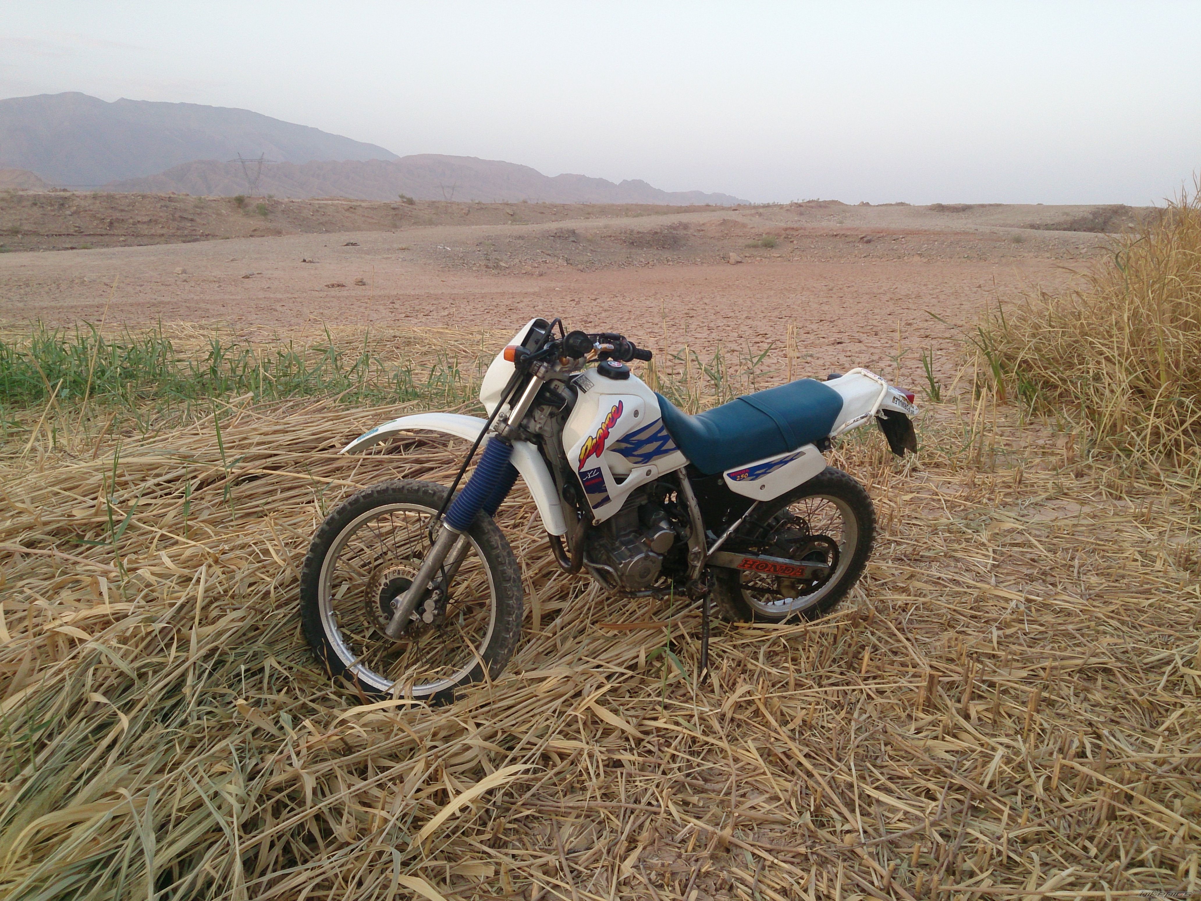 Photo 2708795