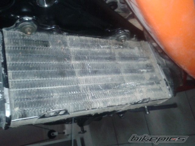 Photo 2709499
