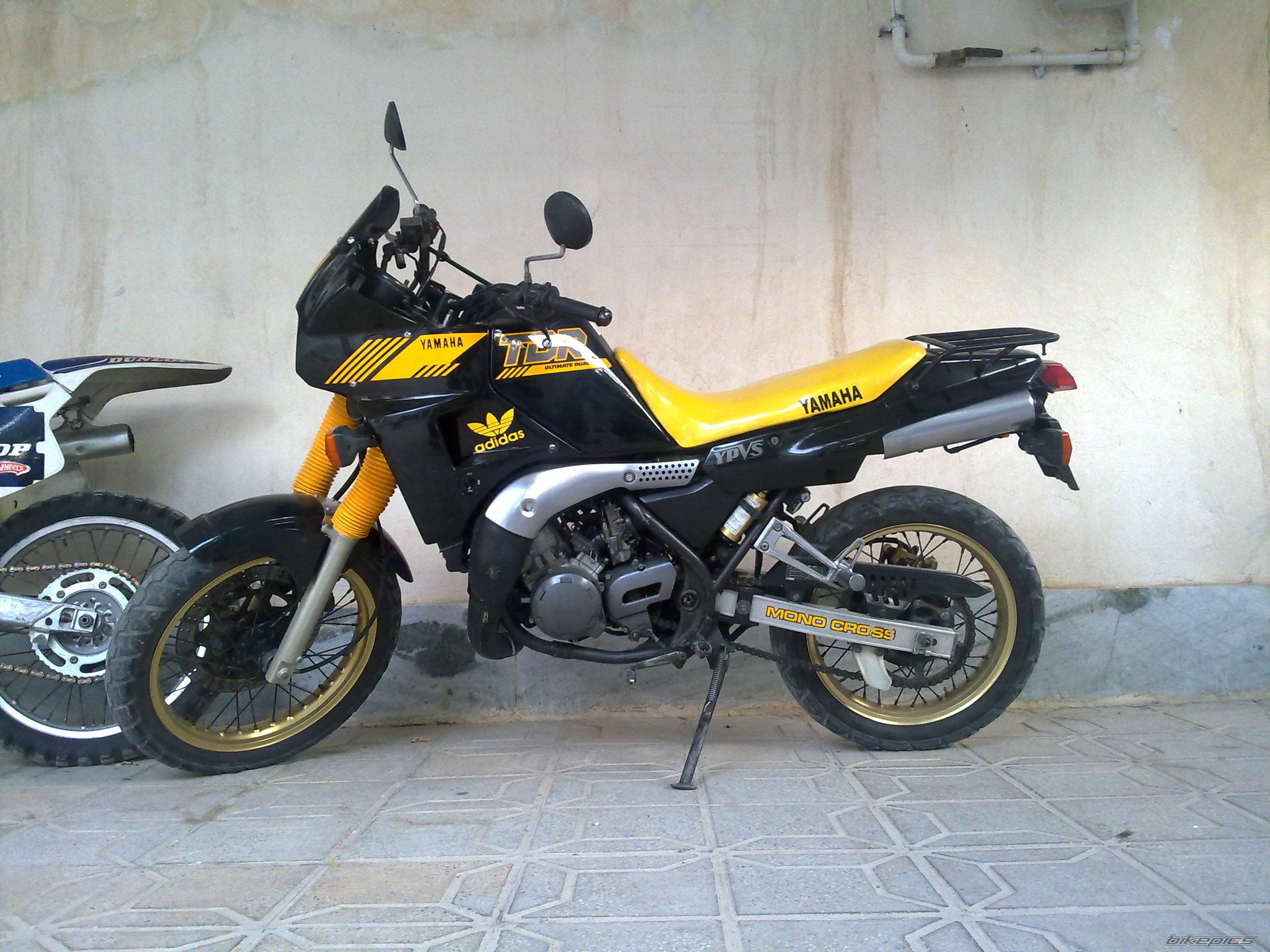 Photo 2711693