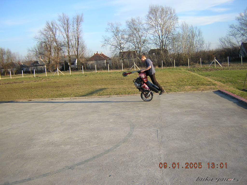 Photo 271237