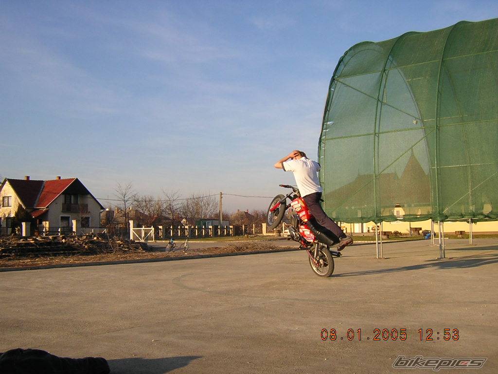 Photo 271239