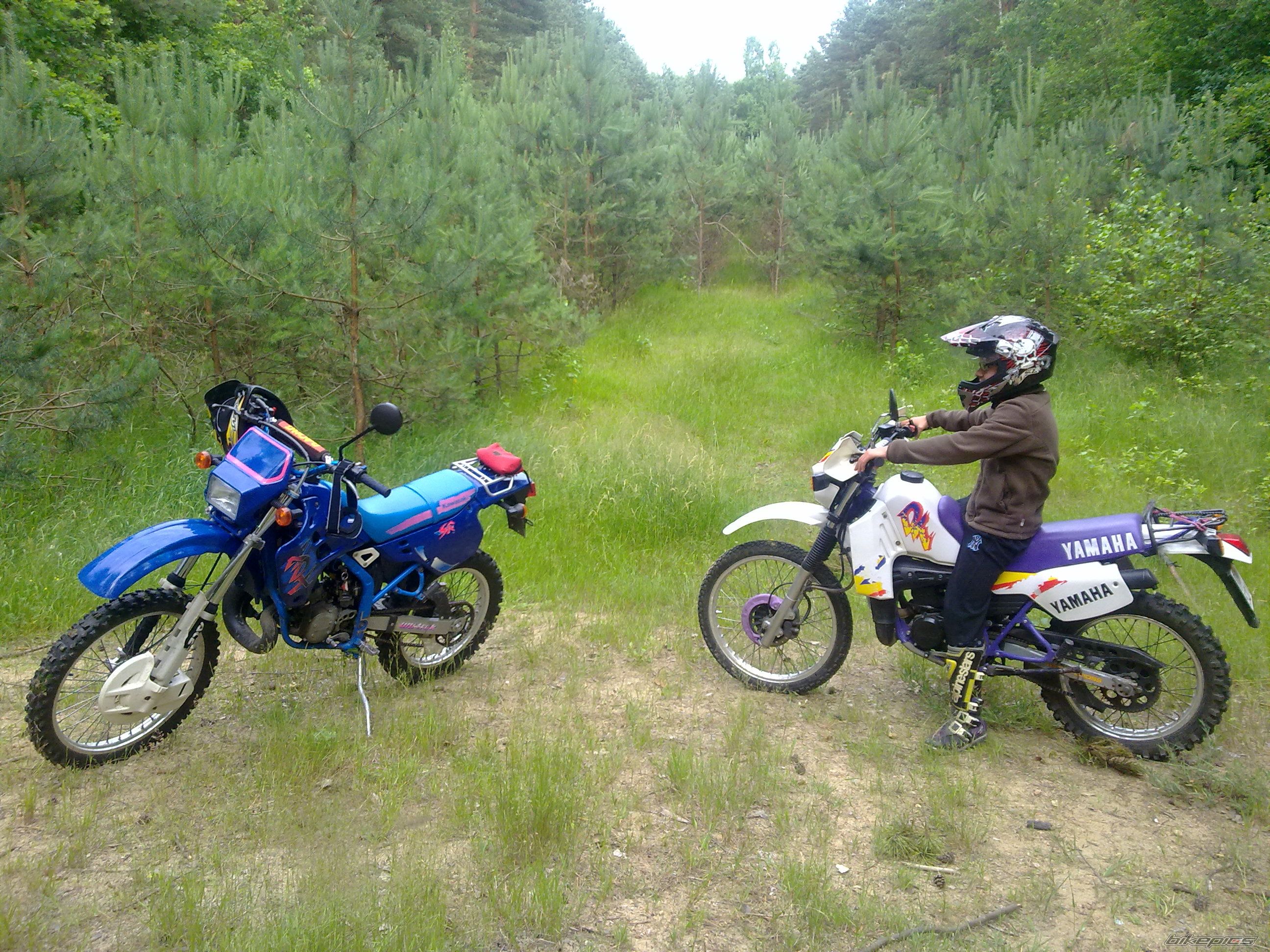 Photo 2713110