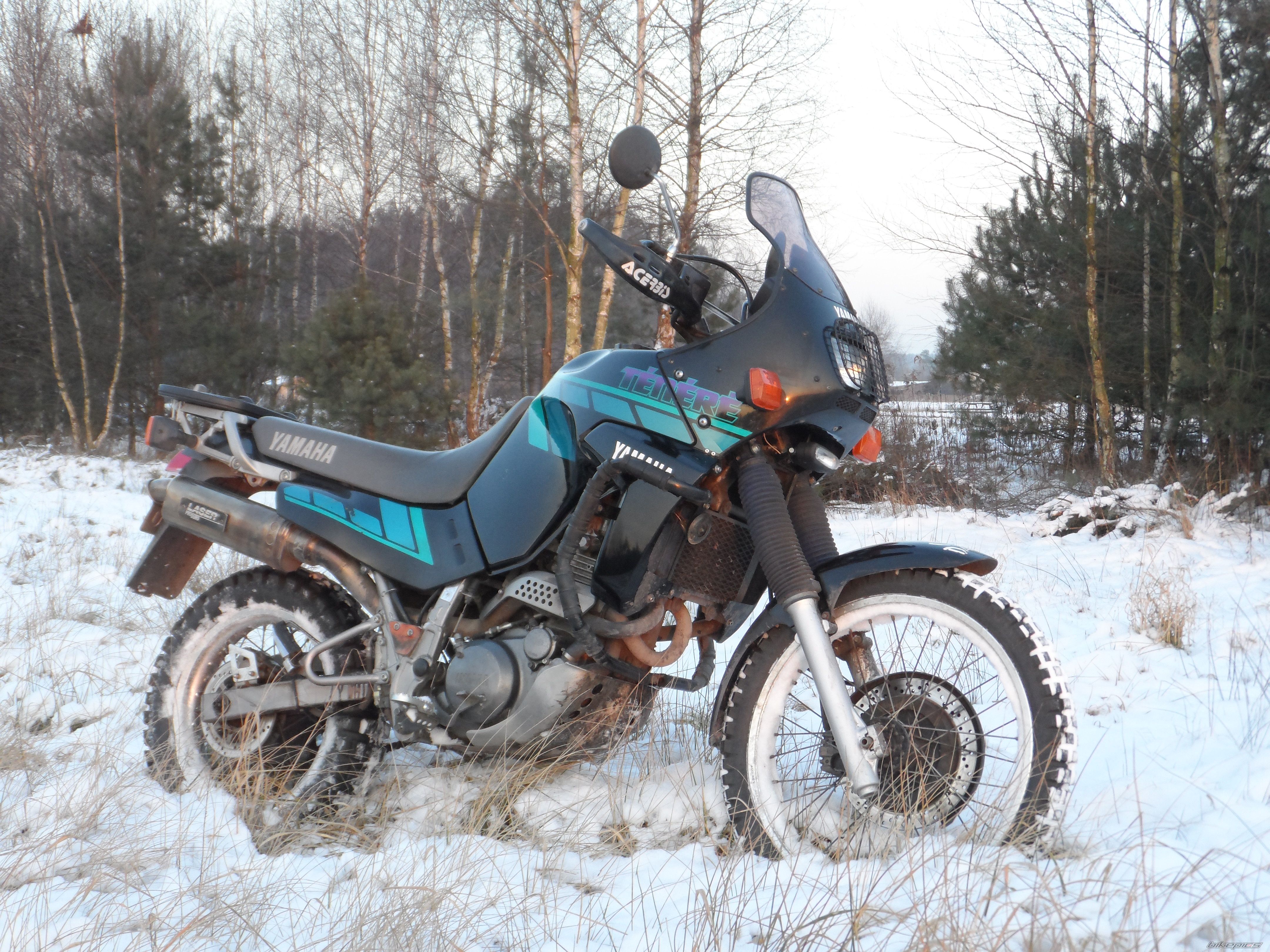 Photo 2715975