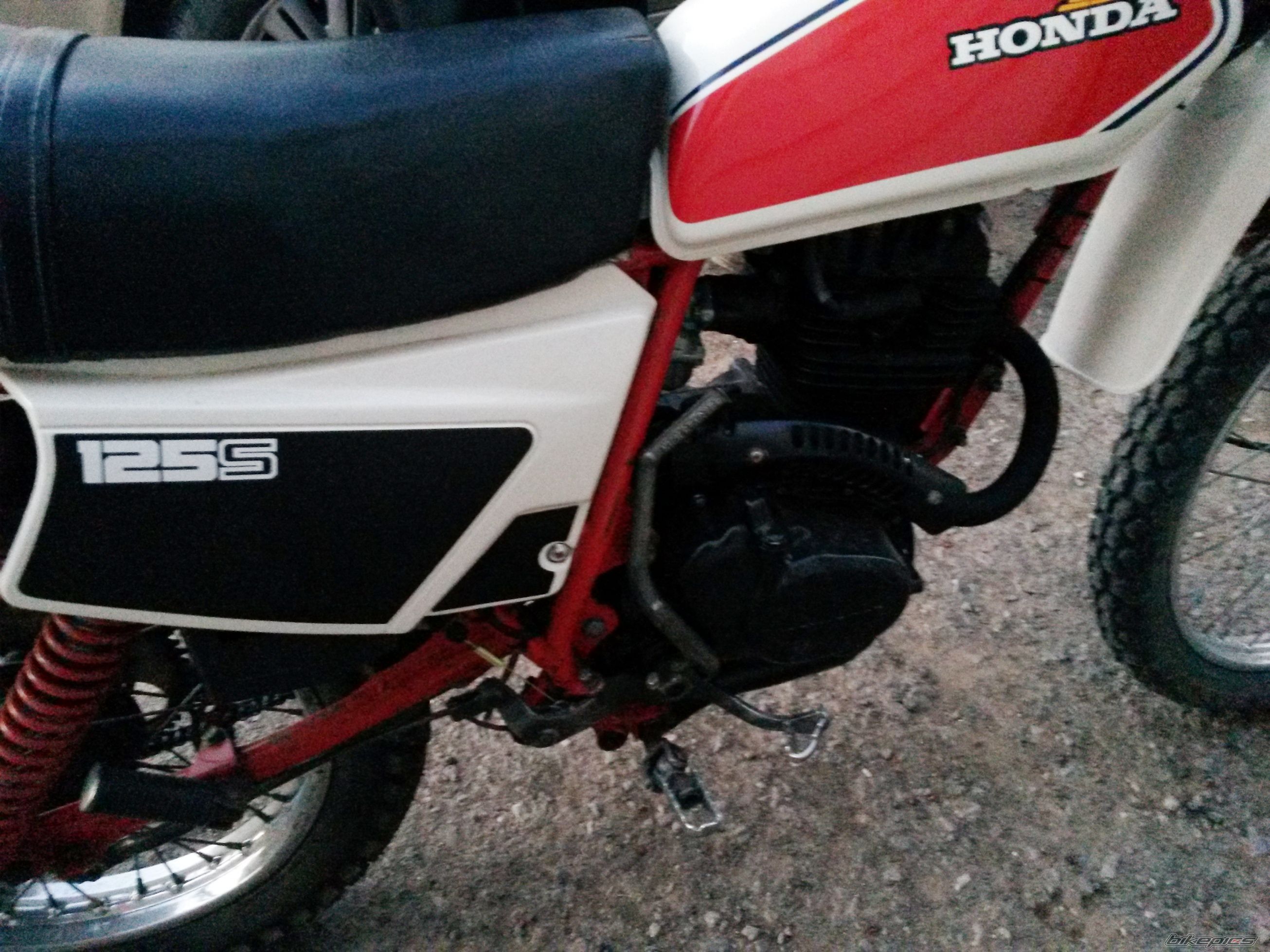 Photo 2716141