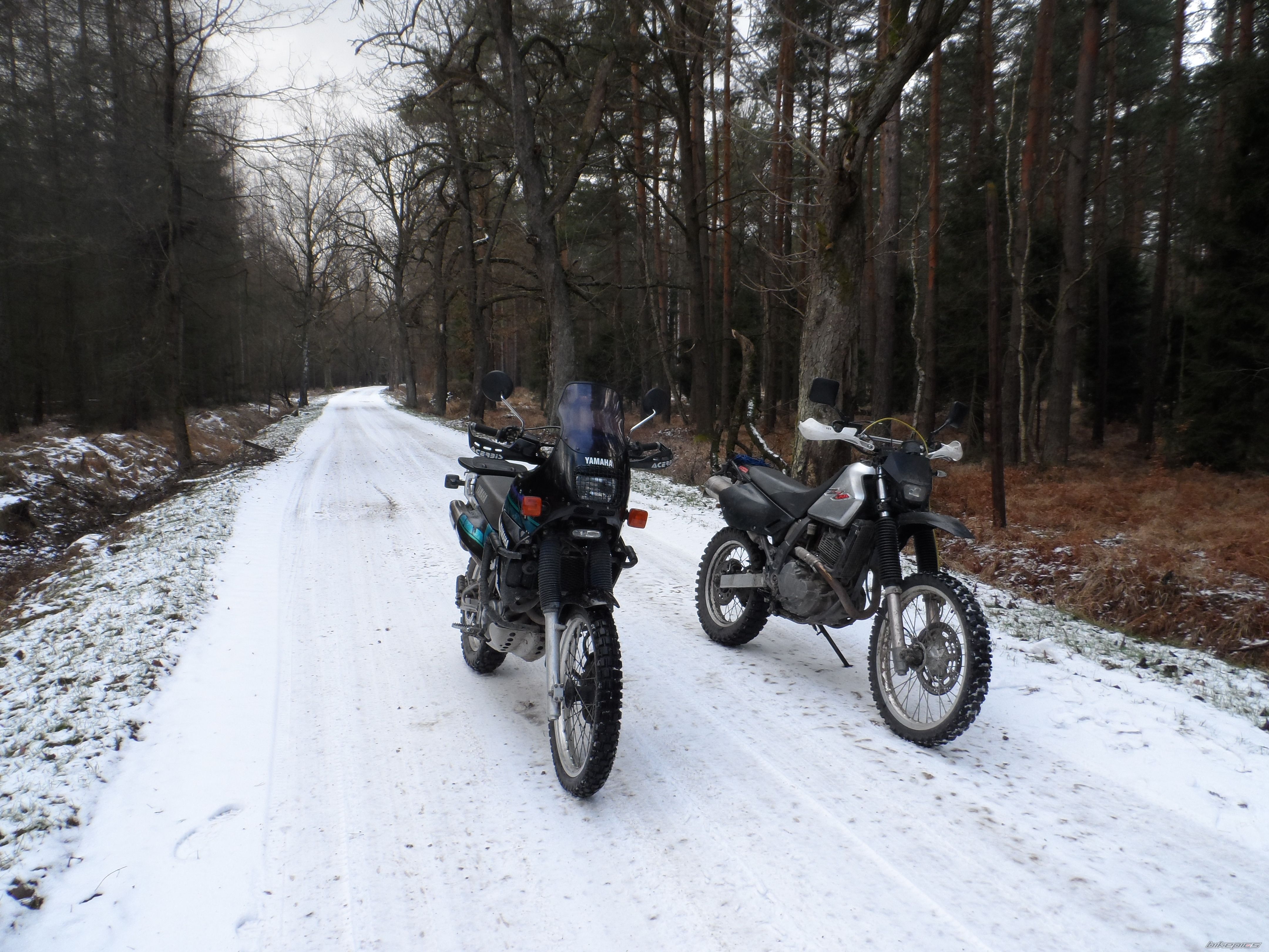 Photo 2716722
