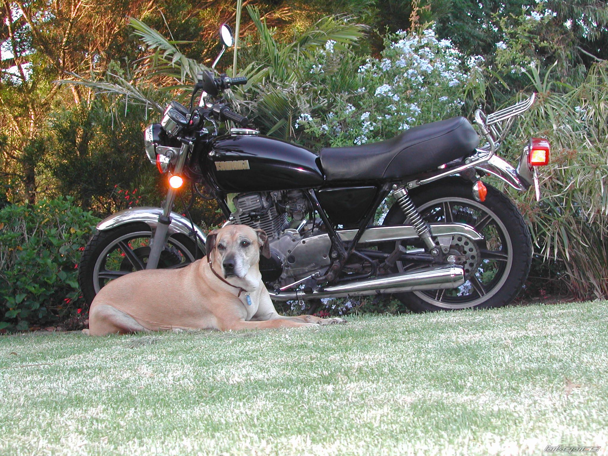Photo 2718221