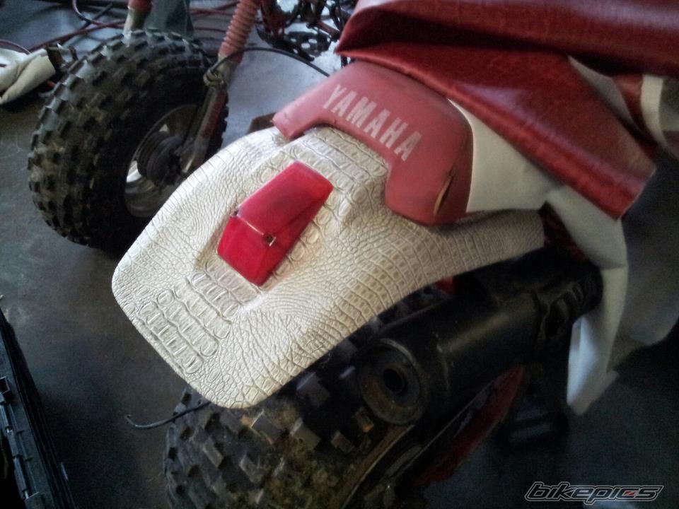 Photo 2718946
