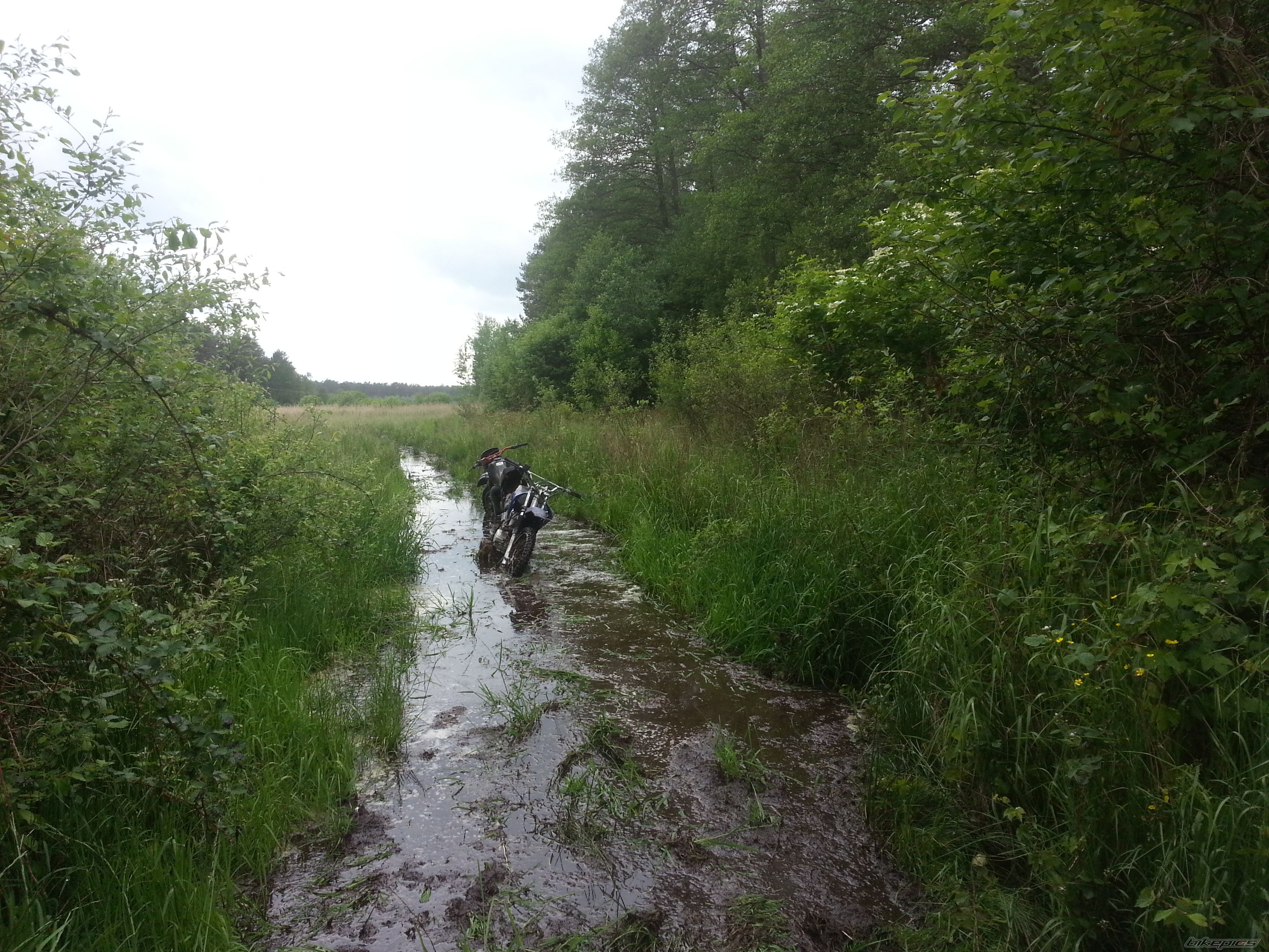Photo 2720730